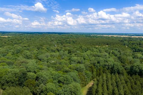 600 Anderson County Road 2805 Tennessee Colony TX 75861