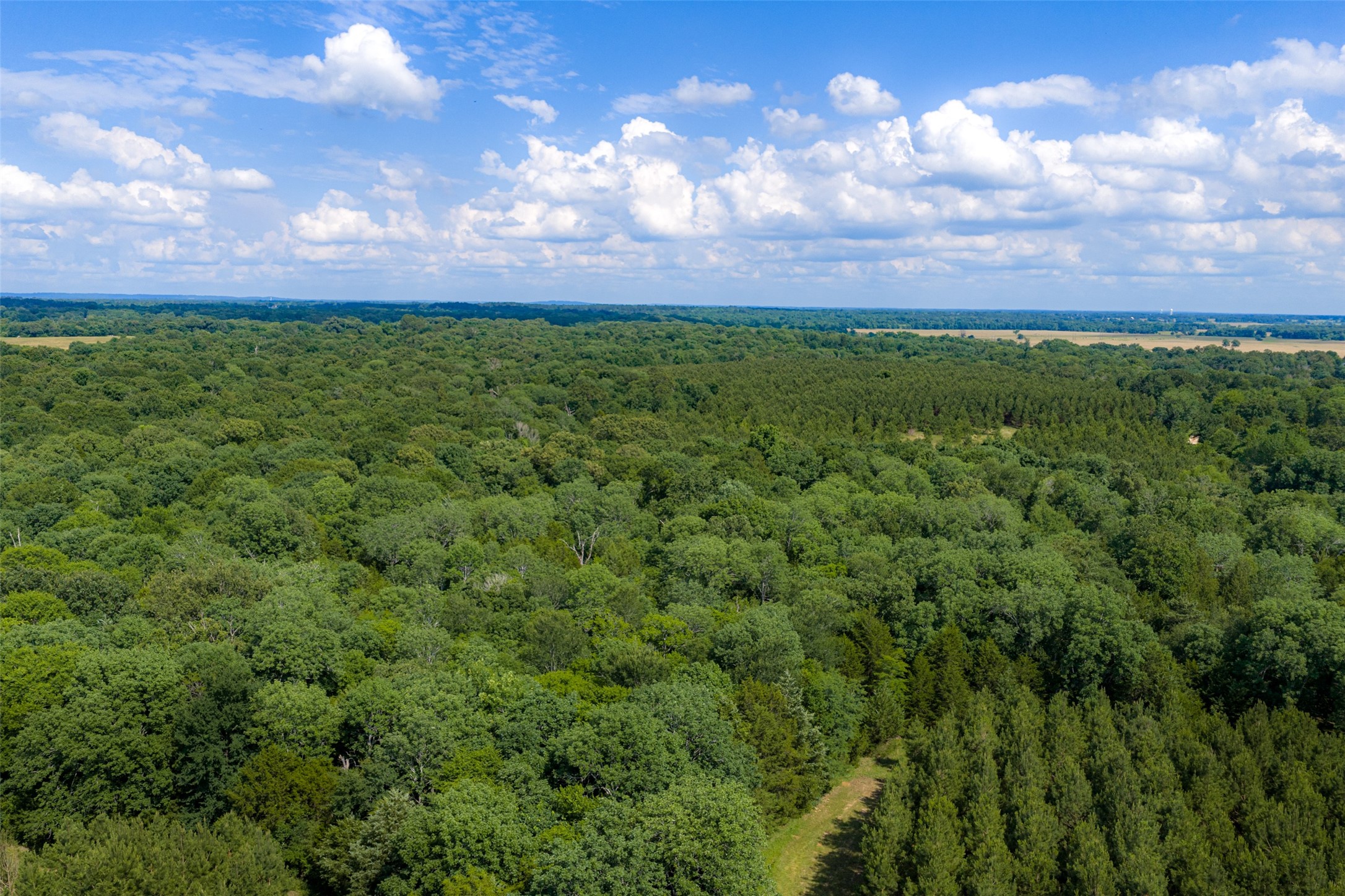 600 Anderson County Road 2805 Tennessee Colony TX 75861