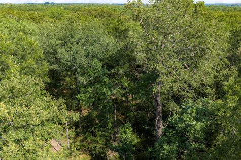 600 Anderson County Road 2805 Tennessee Colony TX 75861