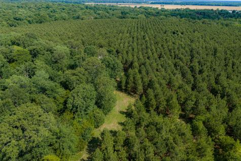 600 Anderson County Road 2805 Tennessee Colony TX 75861