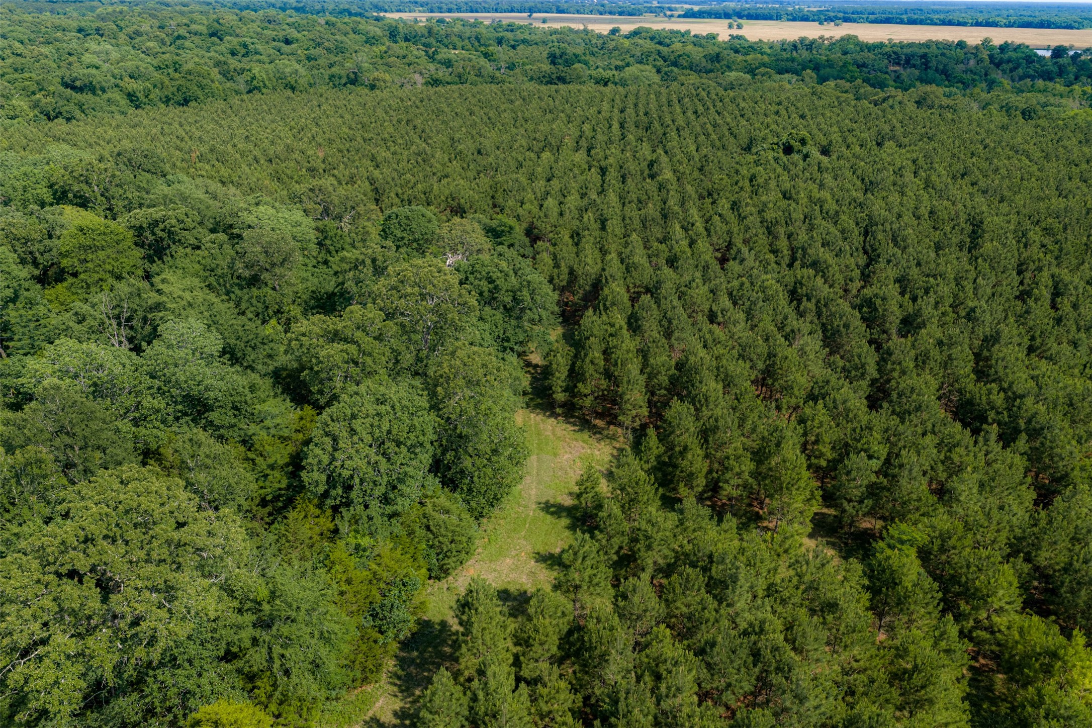 600 Anderson County Road 2805 Tennessee Colony TX 75861