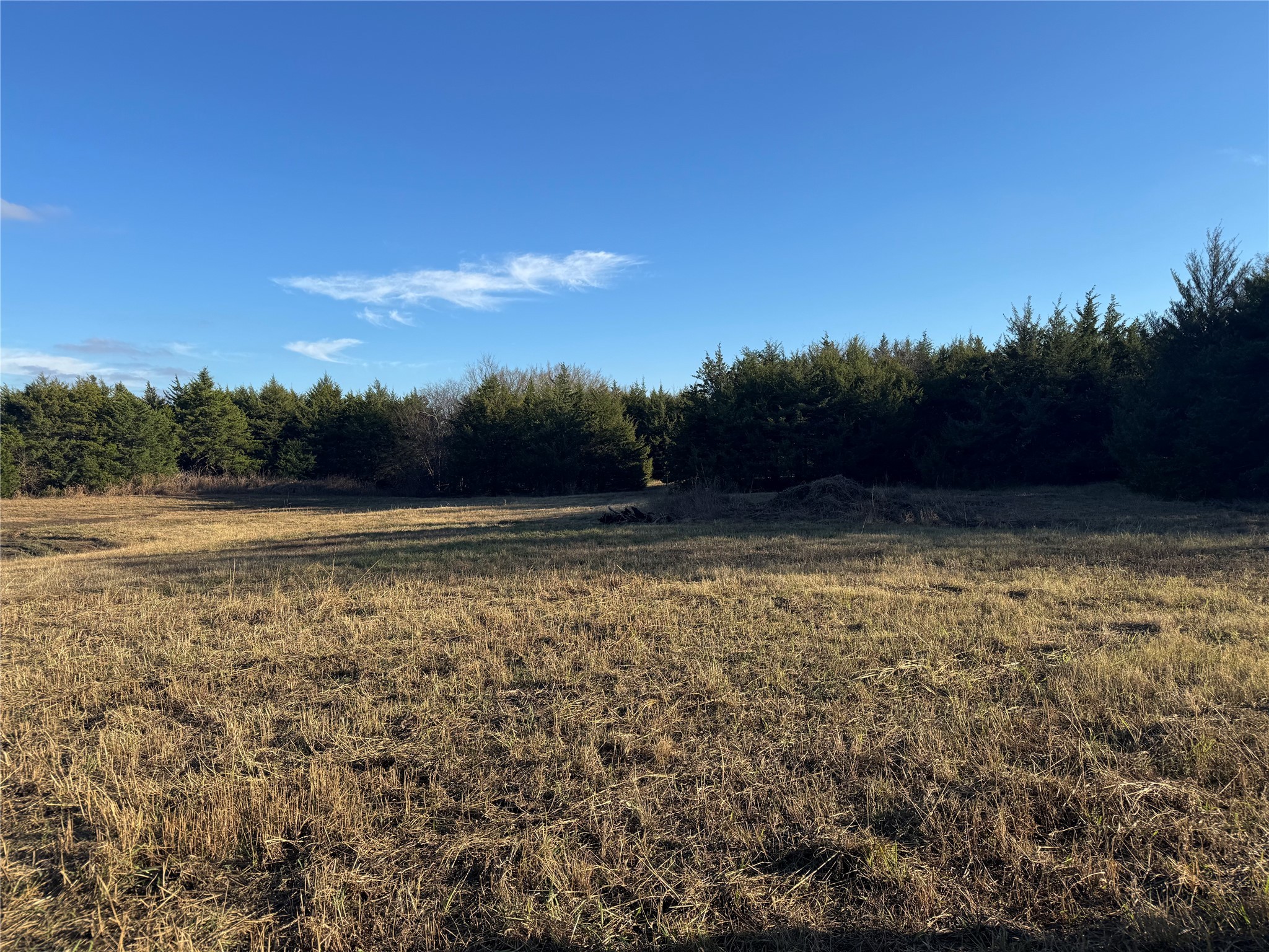 37.50 Acres Farm Road 38 Honey Grove TX 75446