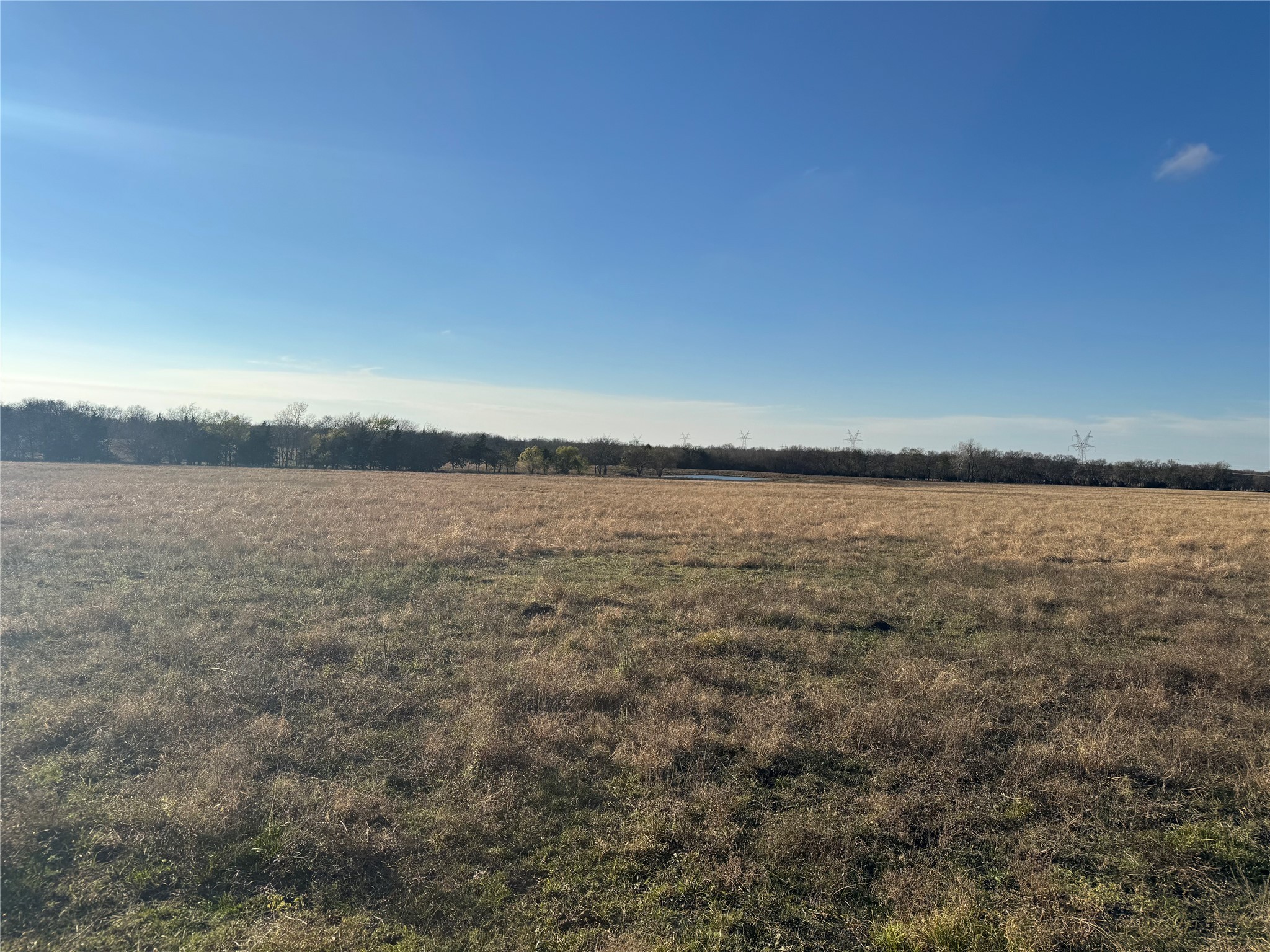 37.50 Acres Farm Road 38 Honey Grove TX 75446