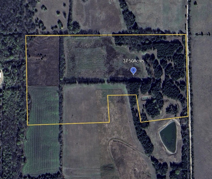 37.50 Acres Farm Road 38 Honey Grove TX 75446