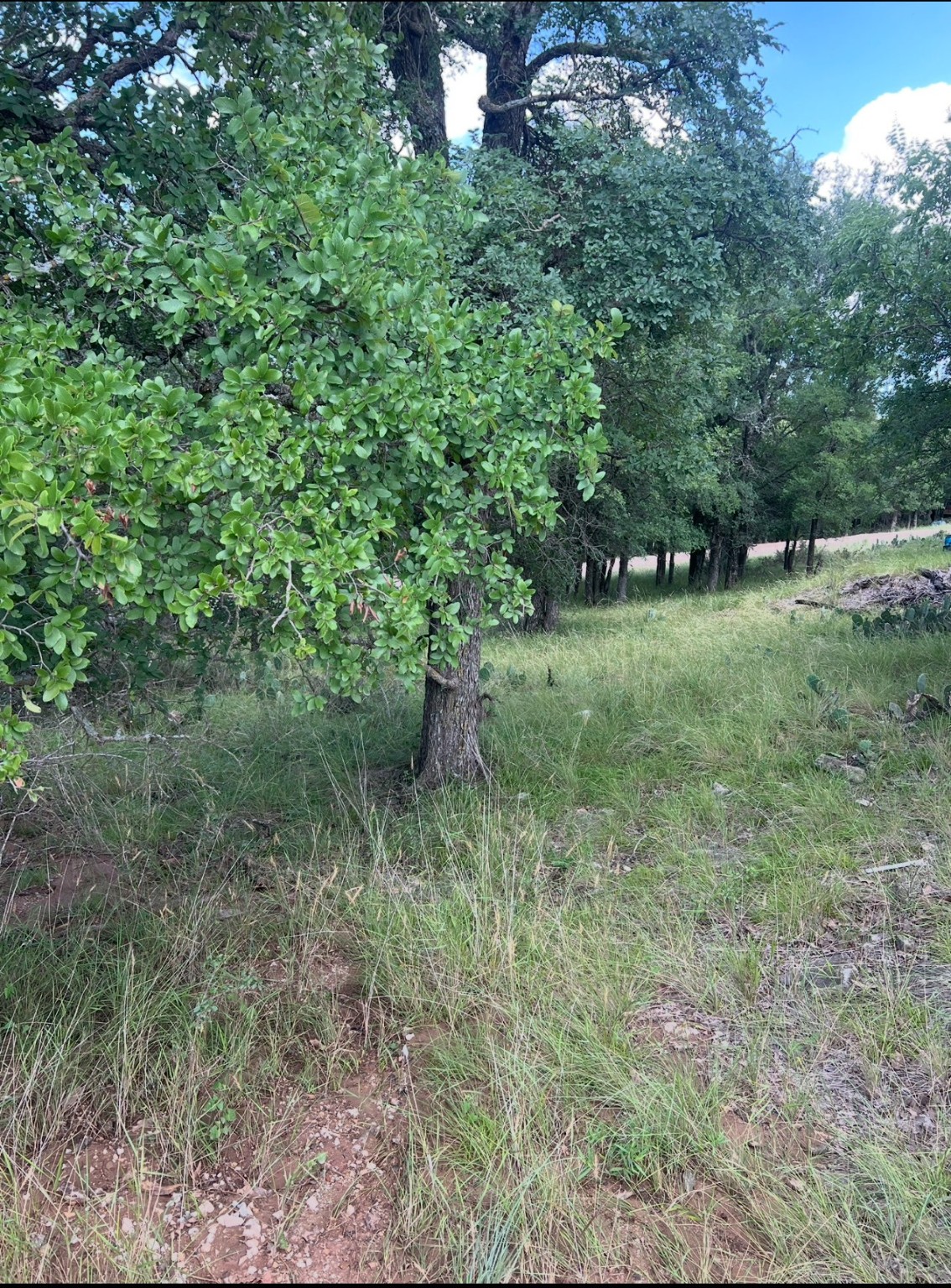 Lot 940 Oak Point Drive May TX 76857