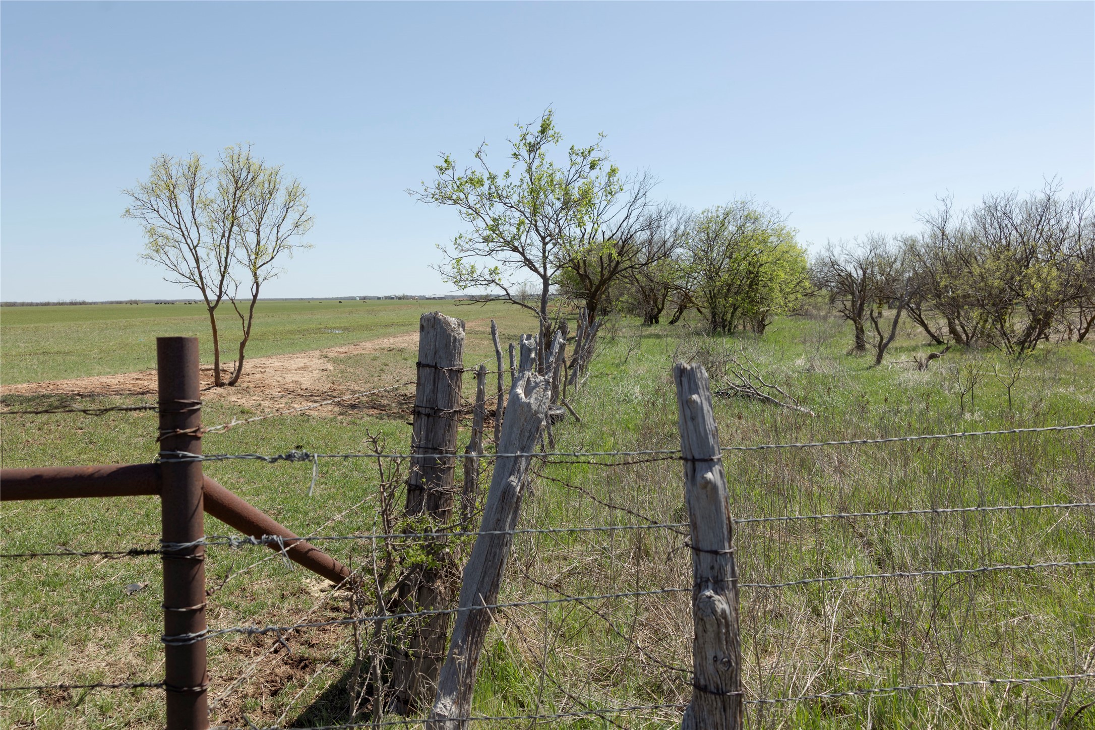 Tbd State Highway 114 Seymour TX 76380