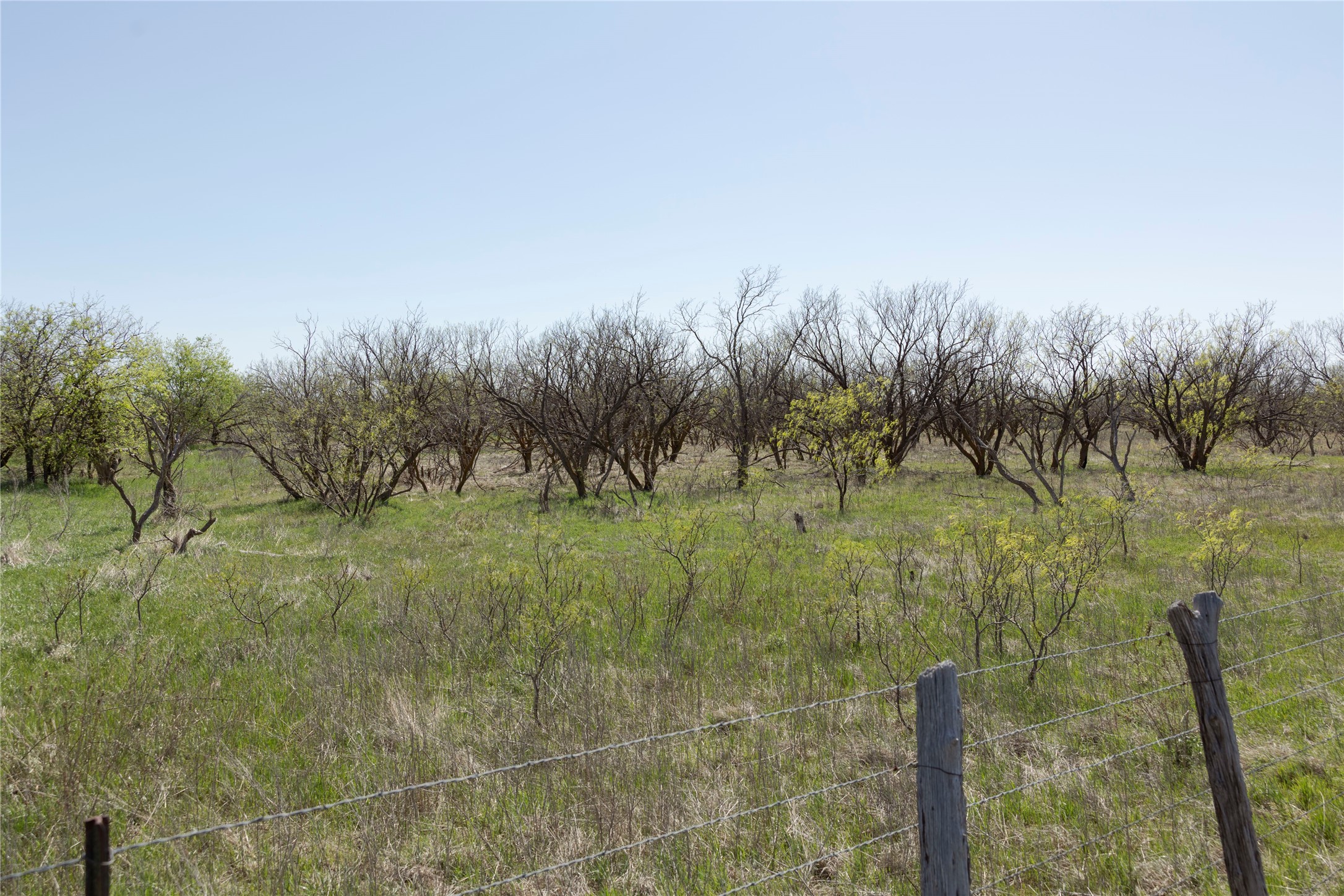 Tbd State Highway 114 Seymour TX 76380