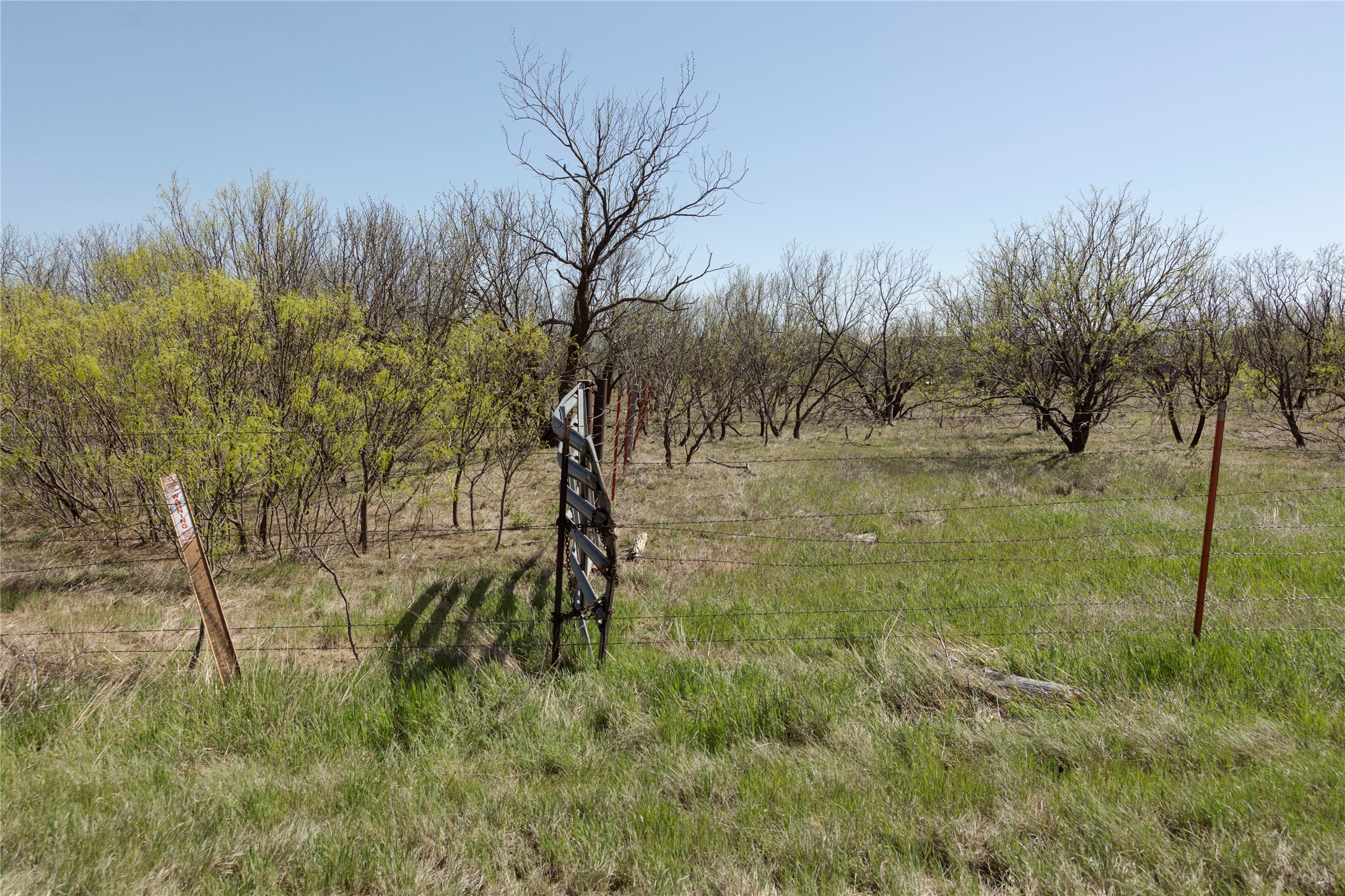 Tbd State Highway 114 Seymour TX 76380