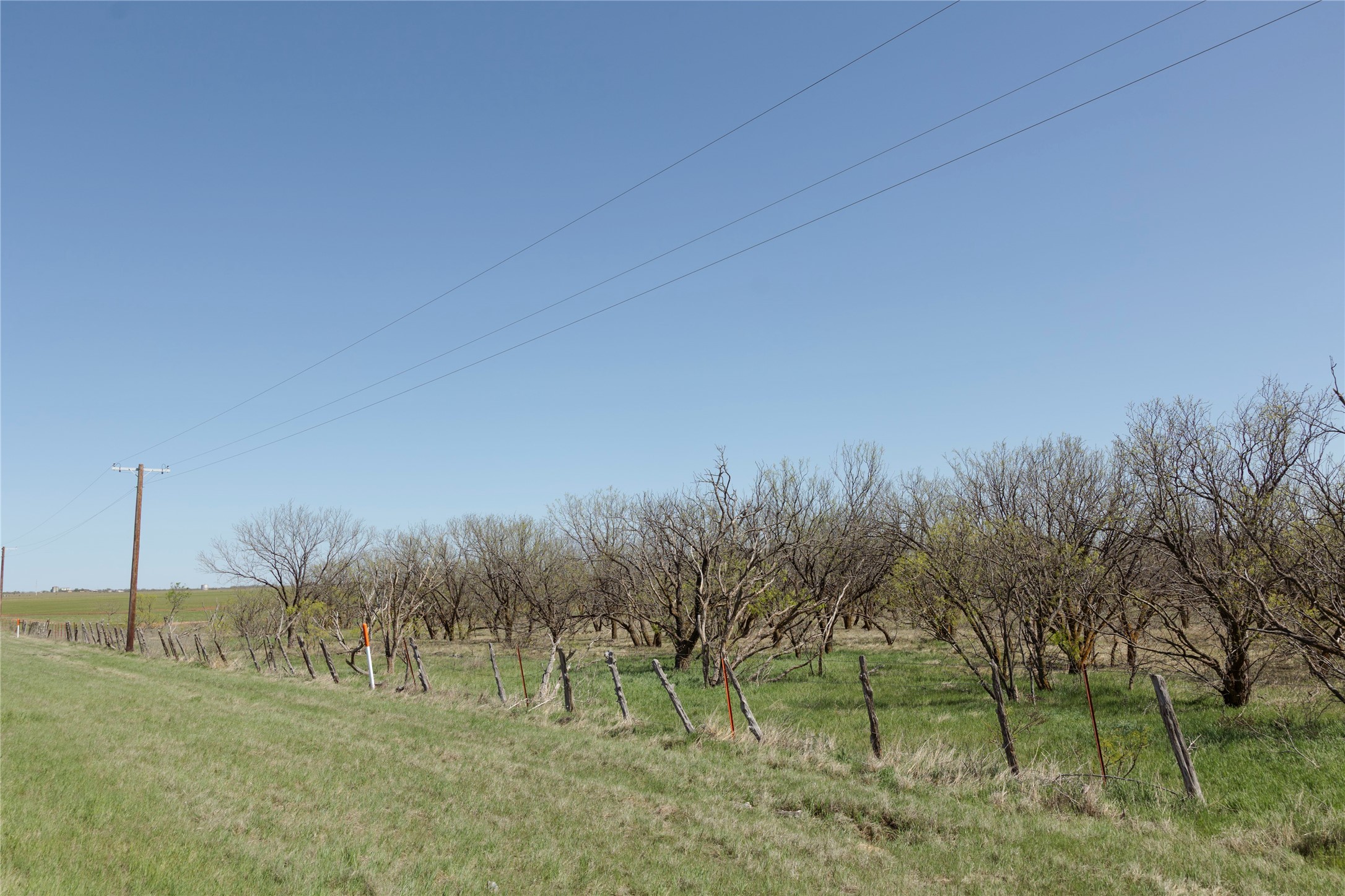 Tbd State Highway 114 Seymour TX 76380