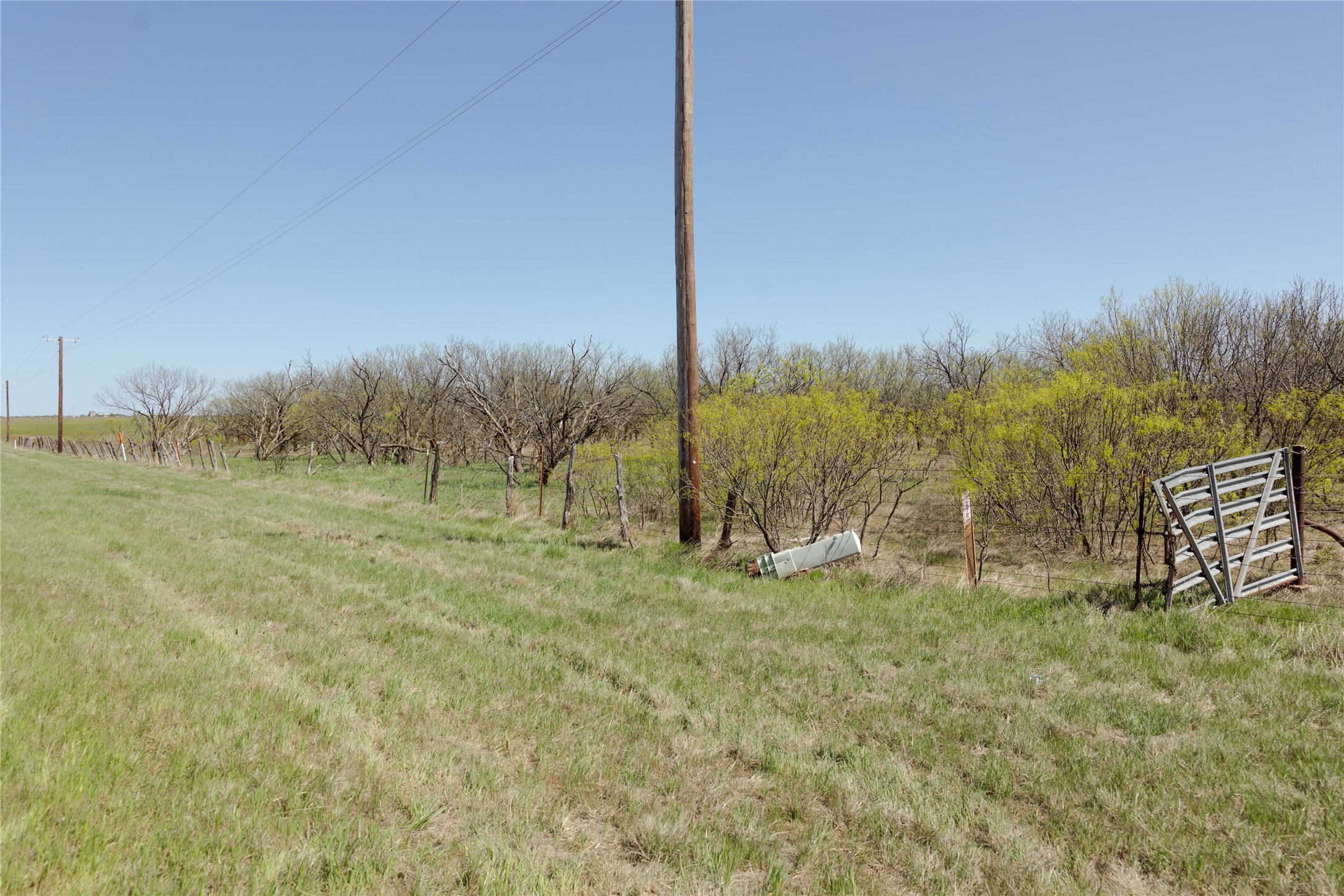 Tbd State Highway 114 Seymour TX 76380