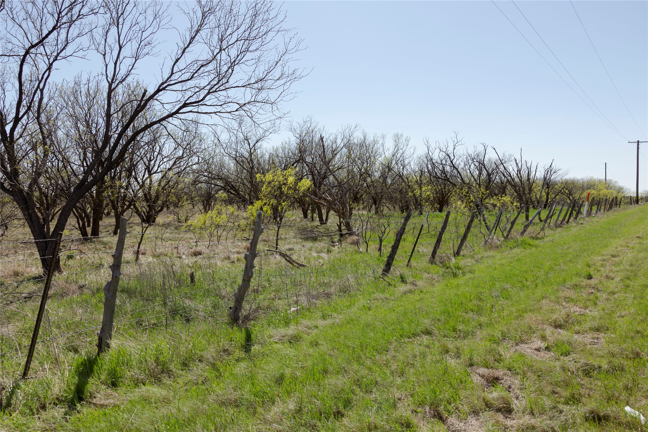 Tbd State Highway 114 Seymour TX 76380