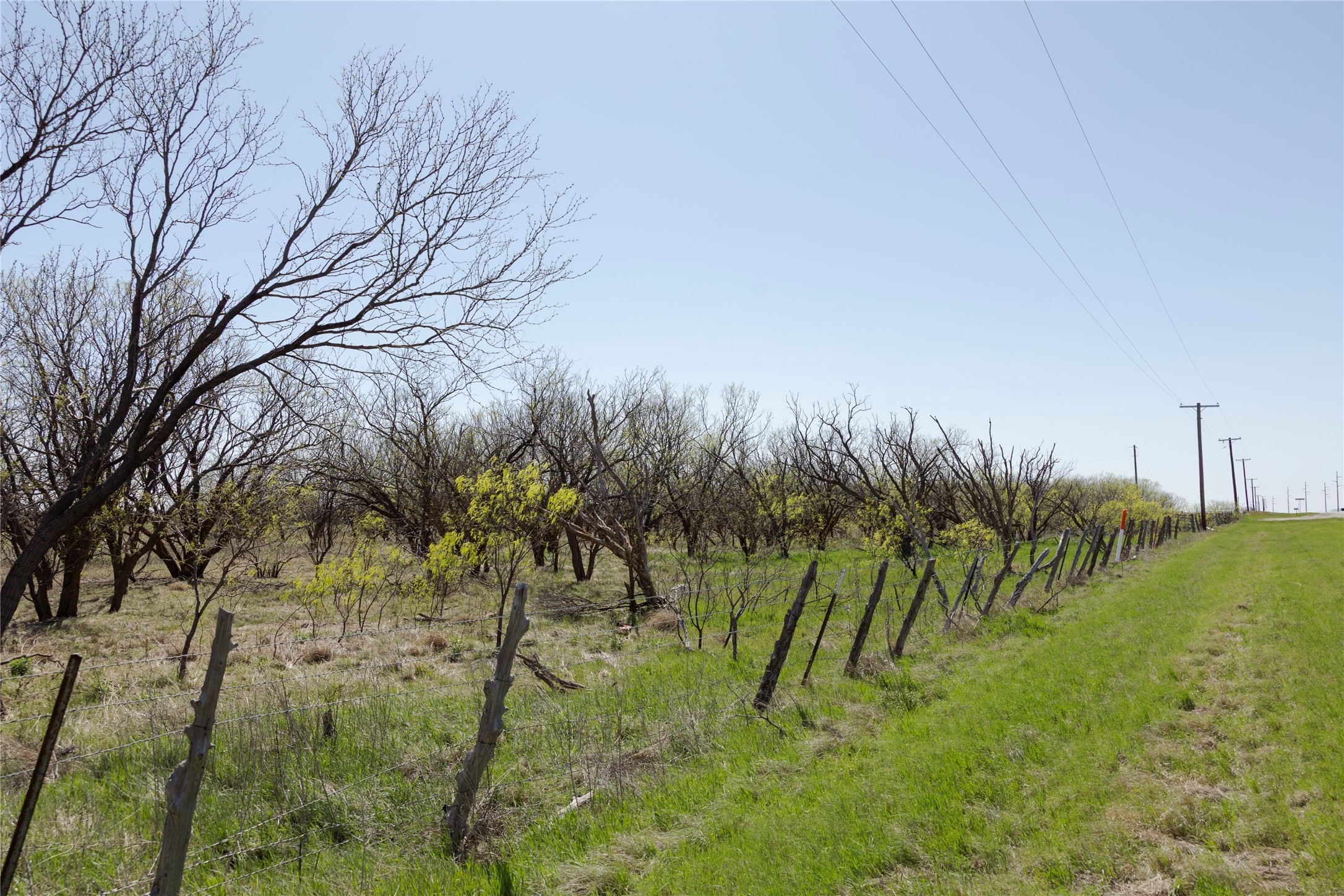 Tbd State Highway 114 Seymour TX 76380