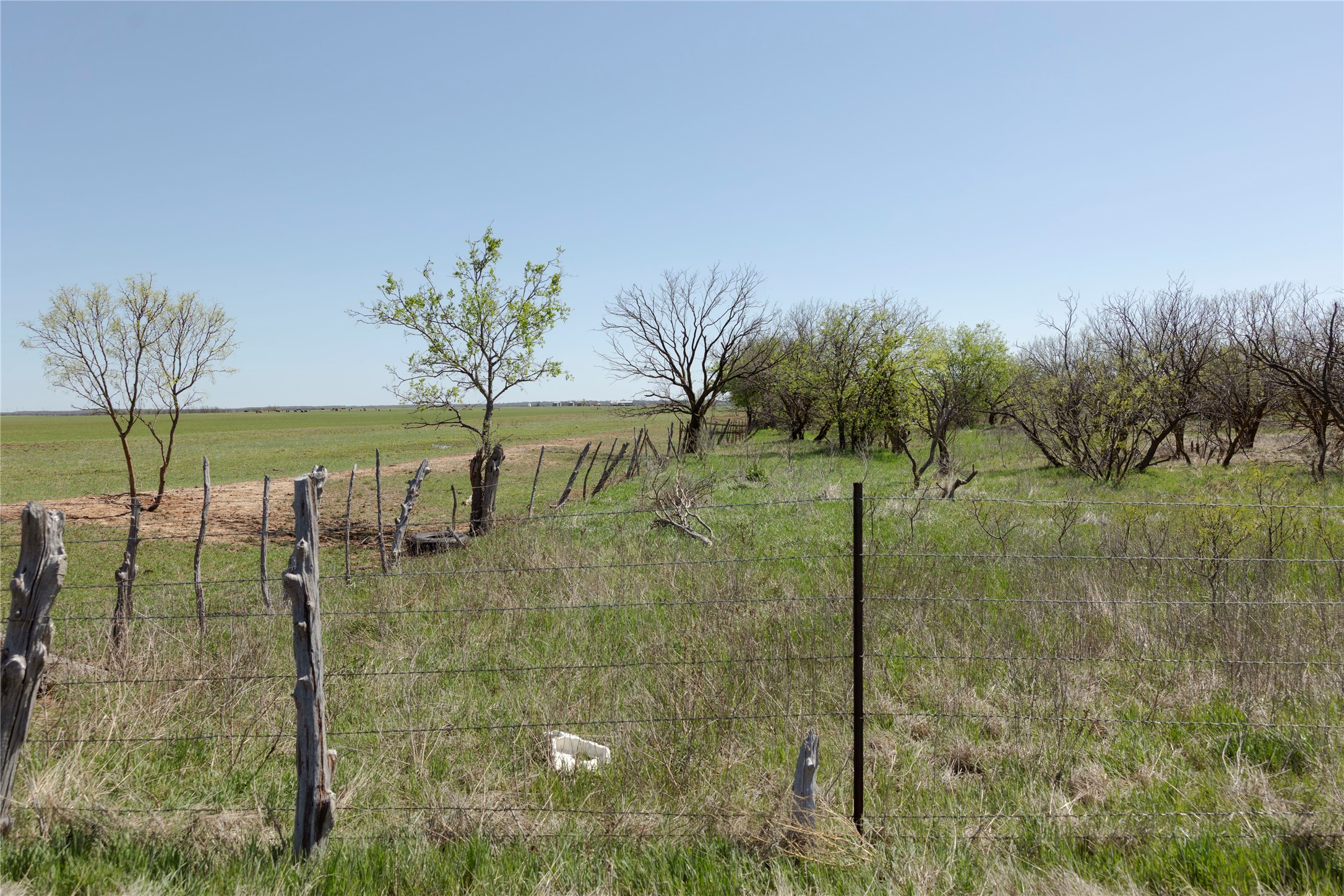 Tbd State Highway 114 Seymour TX 76380