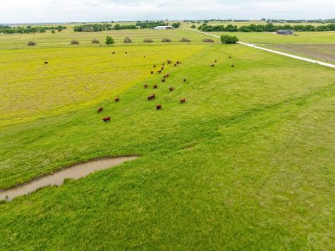 1010 County Road 382 Era TX 76238