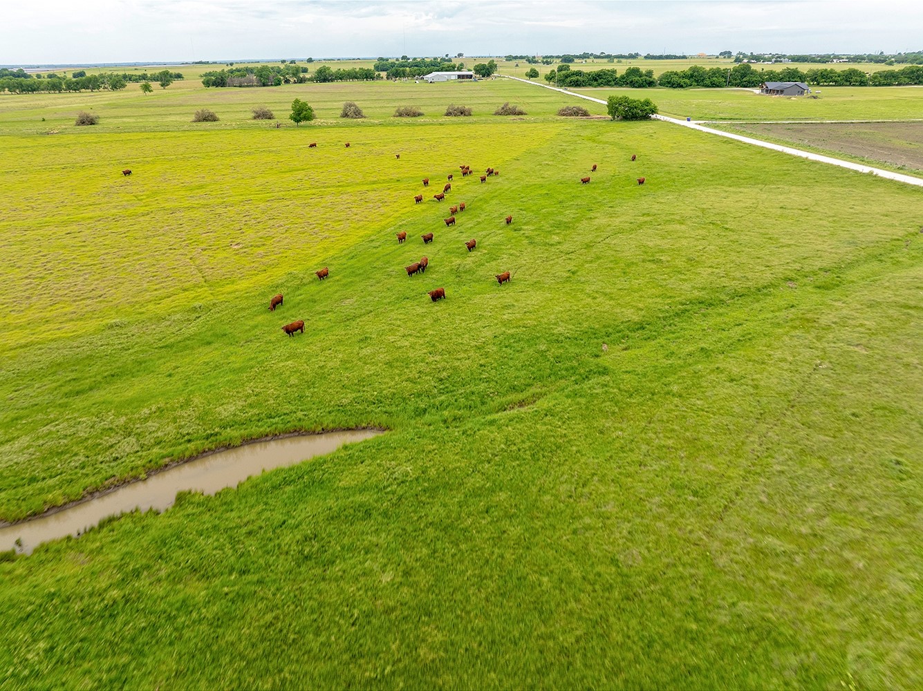 1010 County Road 382 Era TX 76238