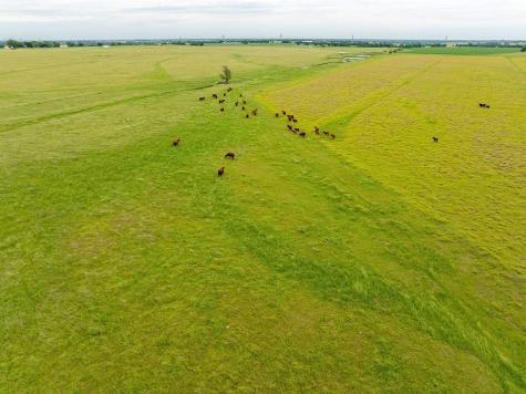 1010 County Road 382 Era TX 76238