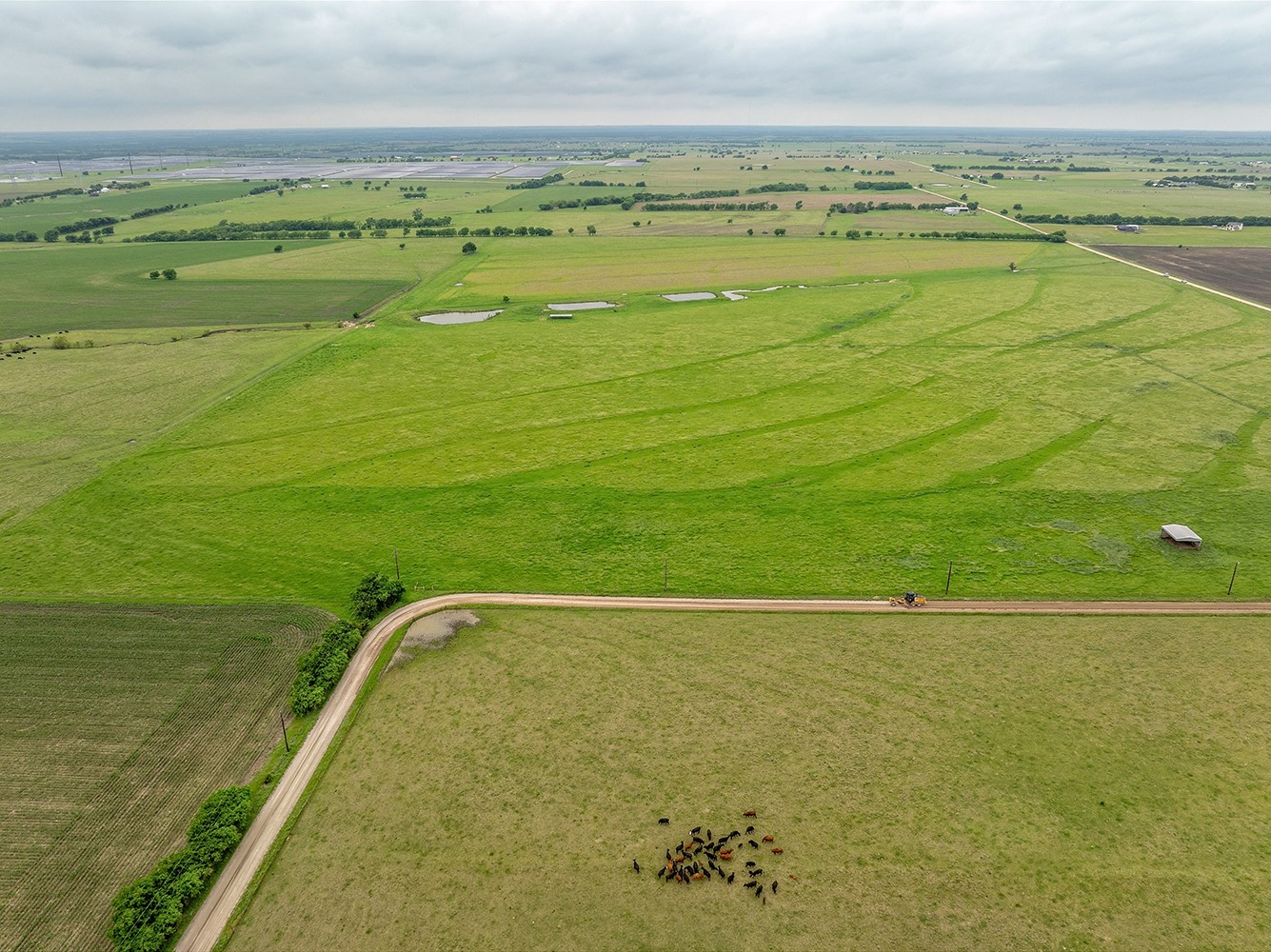 1010 County Road 382 Era TX 76238