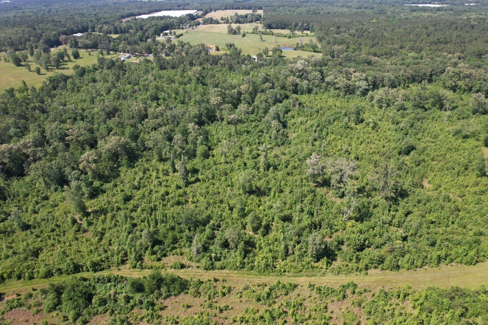 Tbd-d County Road 4021 Timpson TX 75975