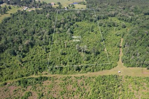 TBD-D County Road 4021 Timpson TX 75975