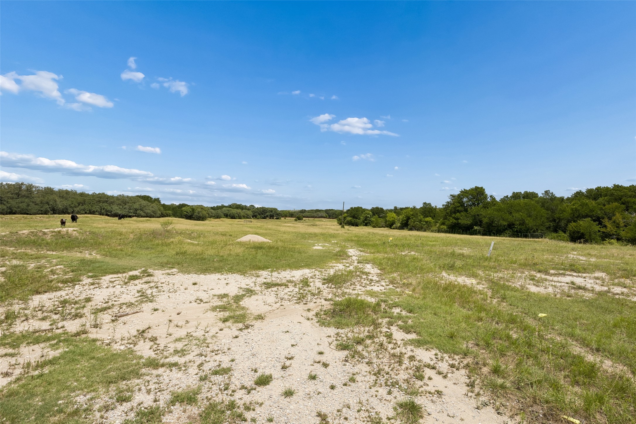 171 Treetop Drive Fort Worth TX 76126