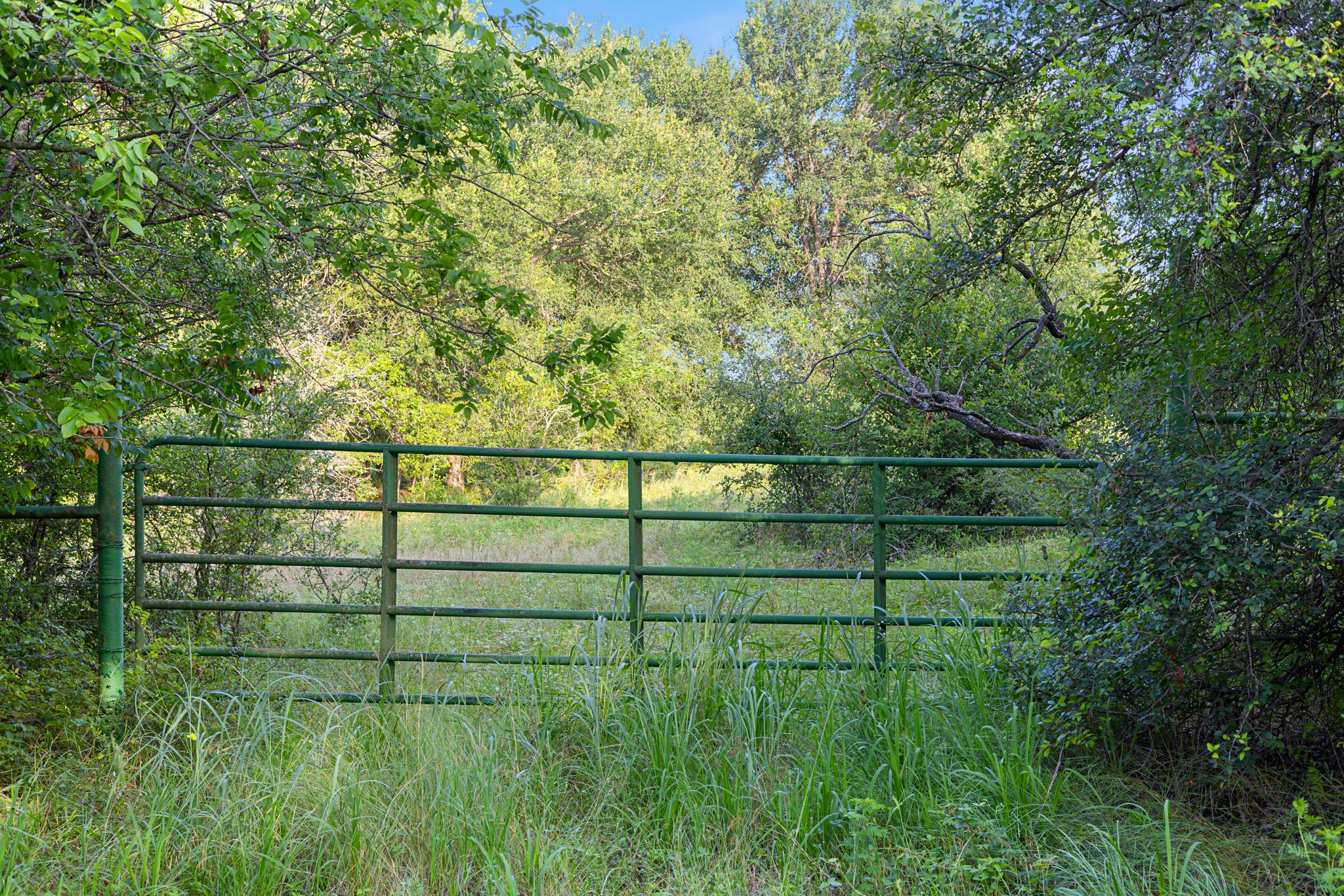 Tbd Tract 5 28.71 Ac Boren Road Ringgold TX 76261