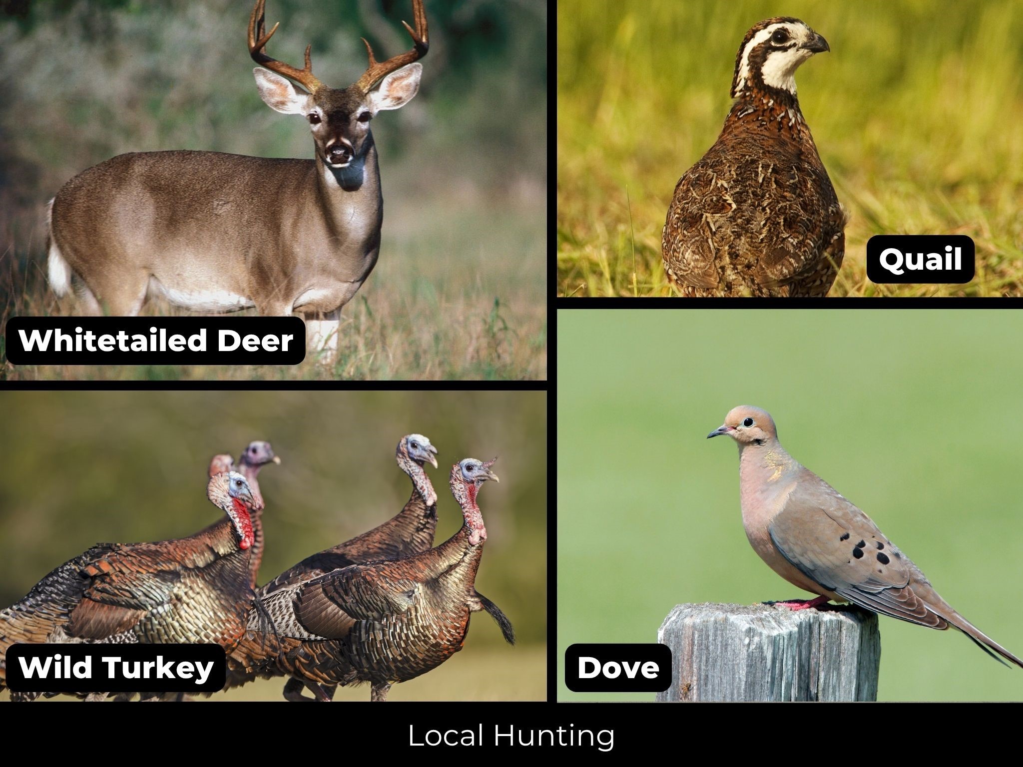 2949 Landers Road San Angelo TX 76905