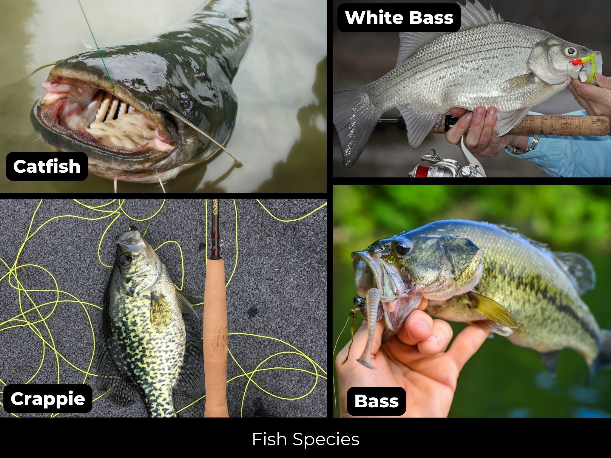 2949 Landers Road San Angelo TX 76905