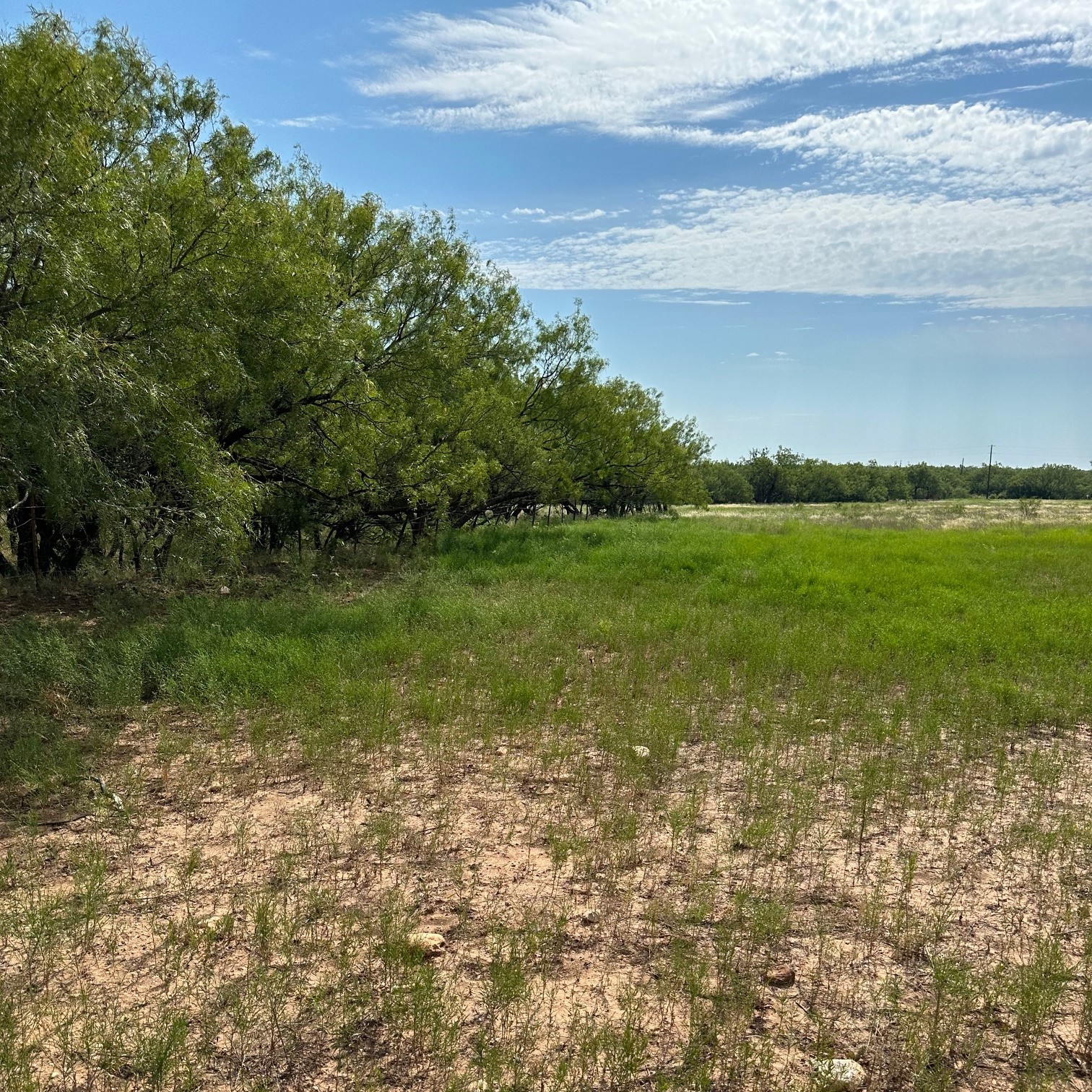 Tract 23 Cr 105 Abilene TX 79601