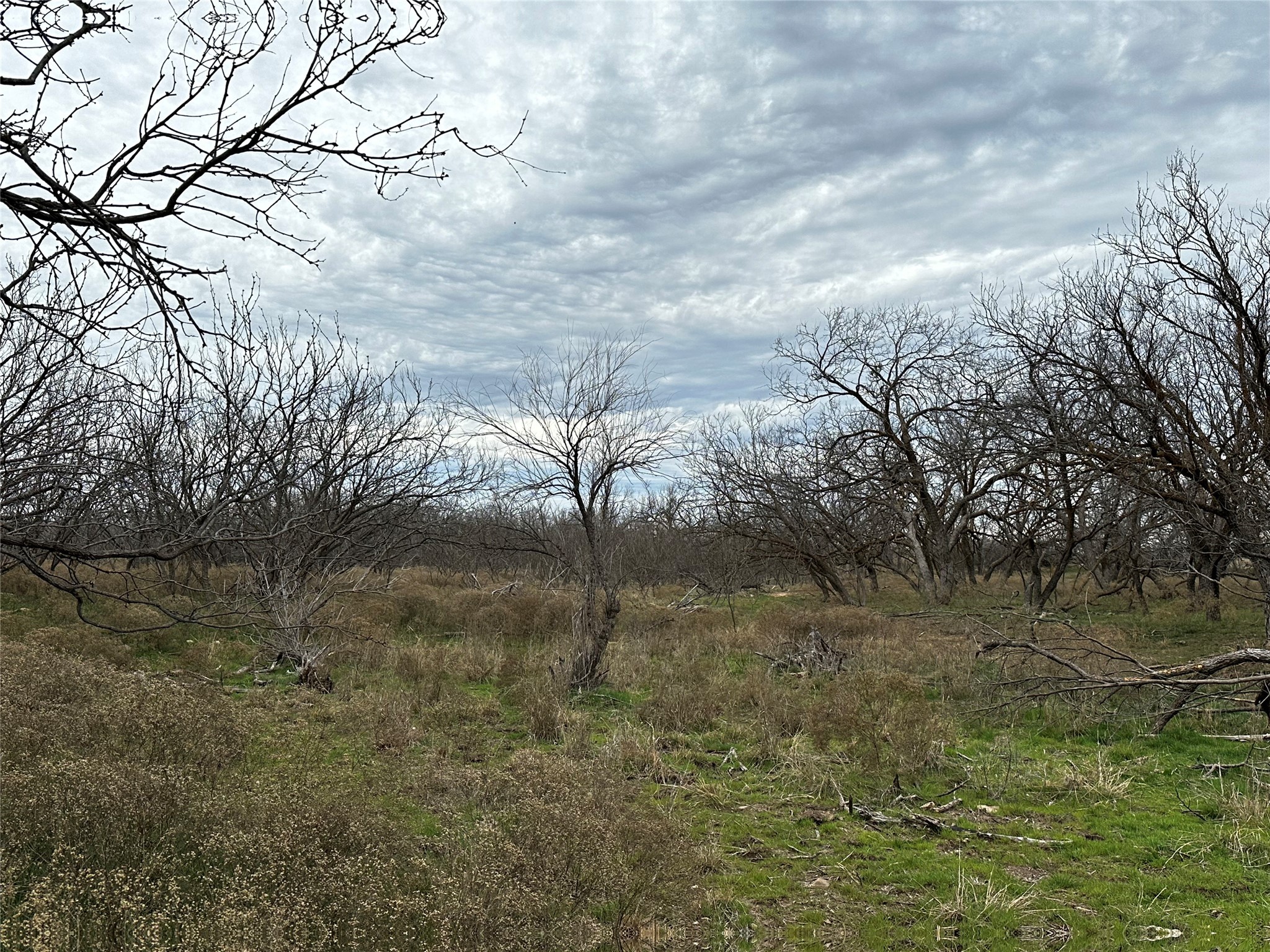 Tract 23 Cr 105 Abilene TX 79601