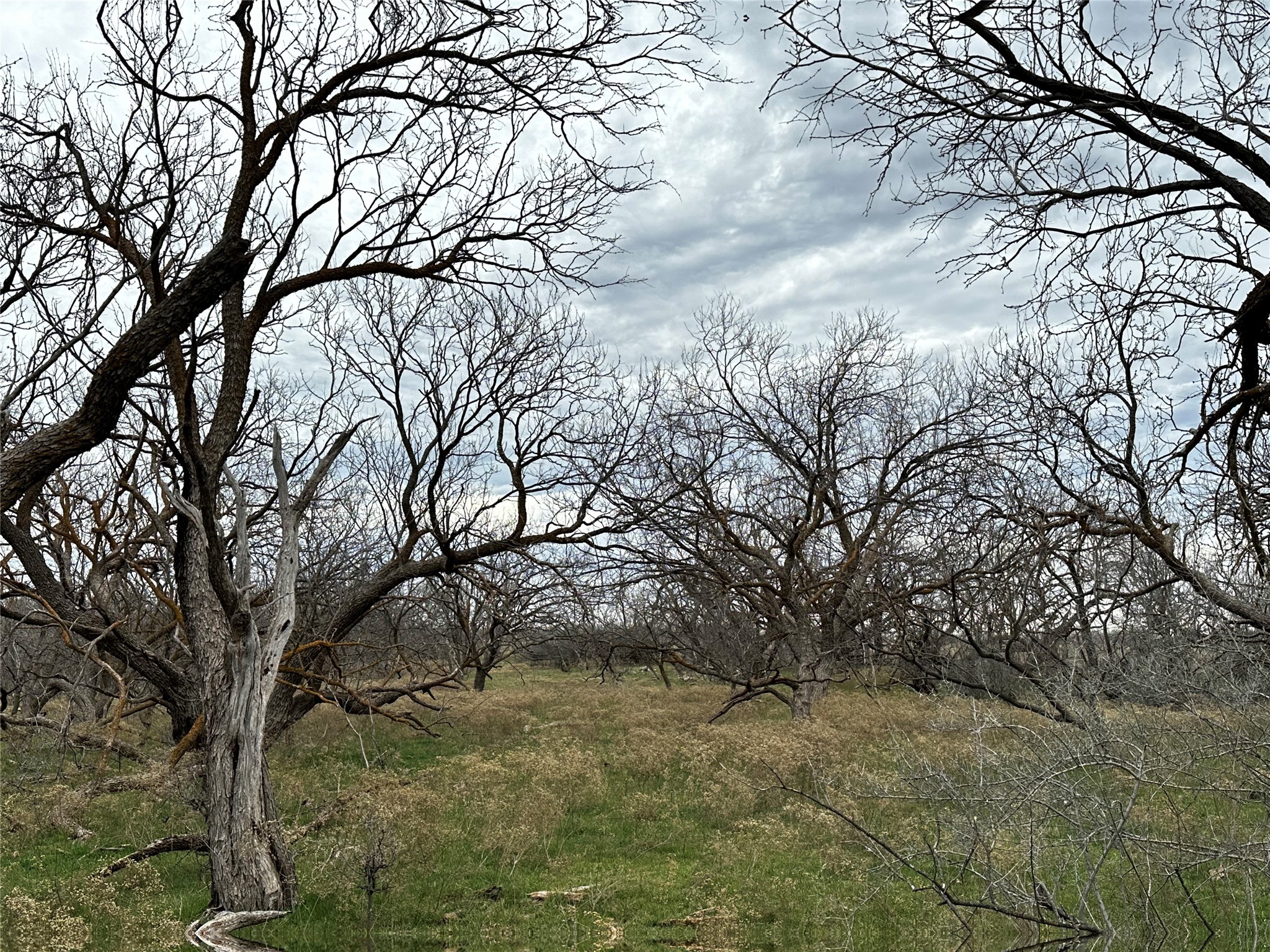 Tract 23 Cr 105 Abilene TX 79601