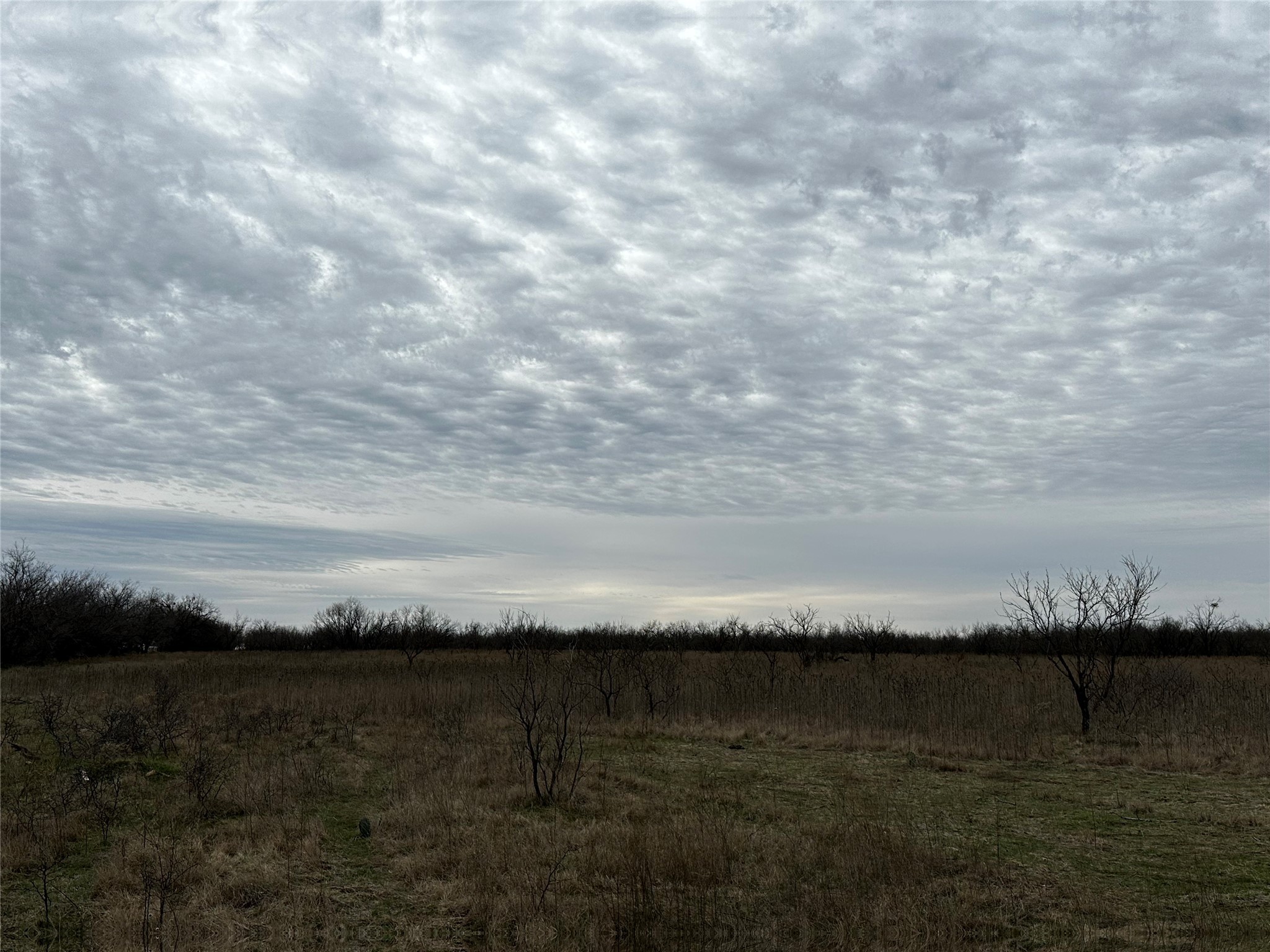 Tract 23 Cr 105 Abilene TX 79601
