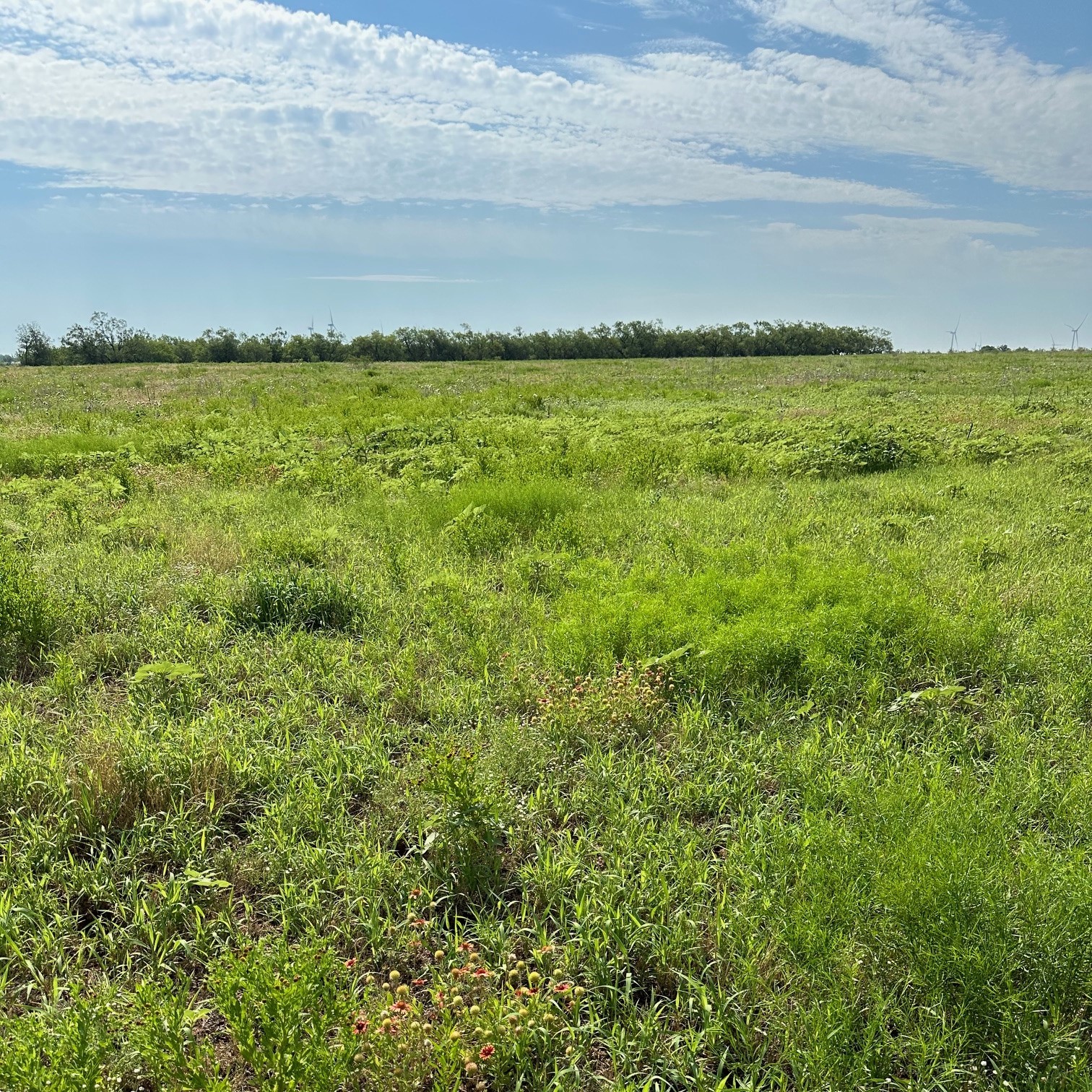 Tract 23 Cr 105 Abilene TX 79601