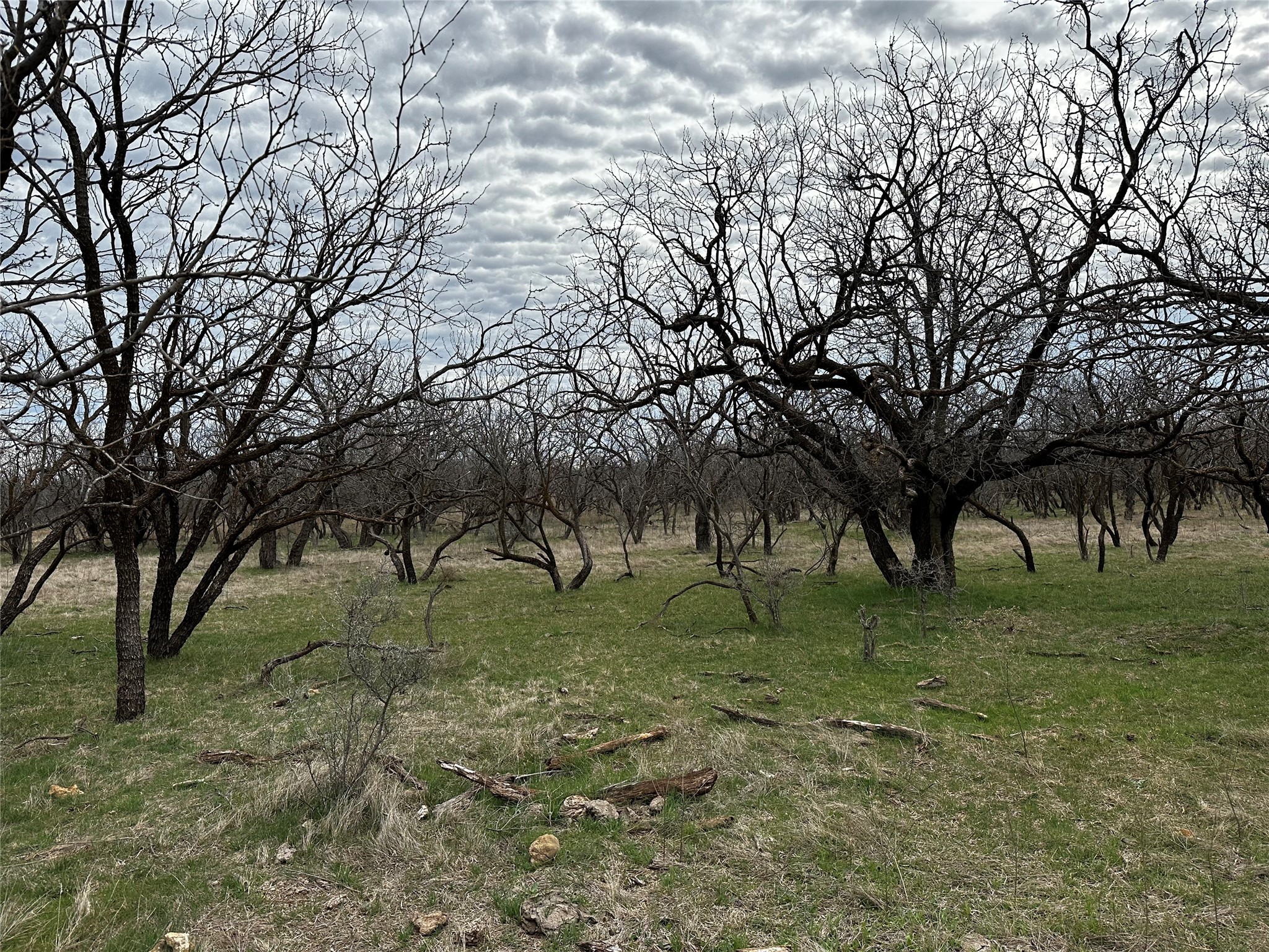 Tract 23 Cr 105 Abilene TX 79601