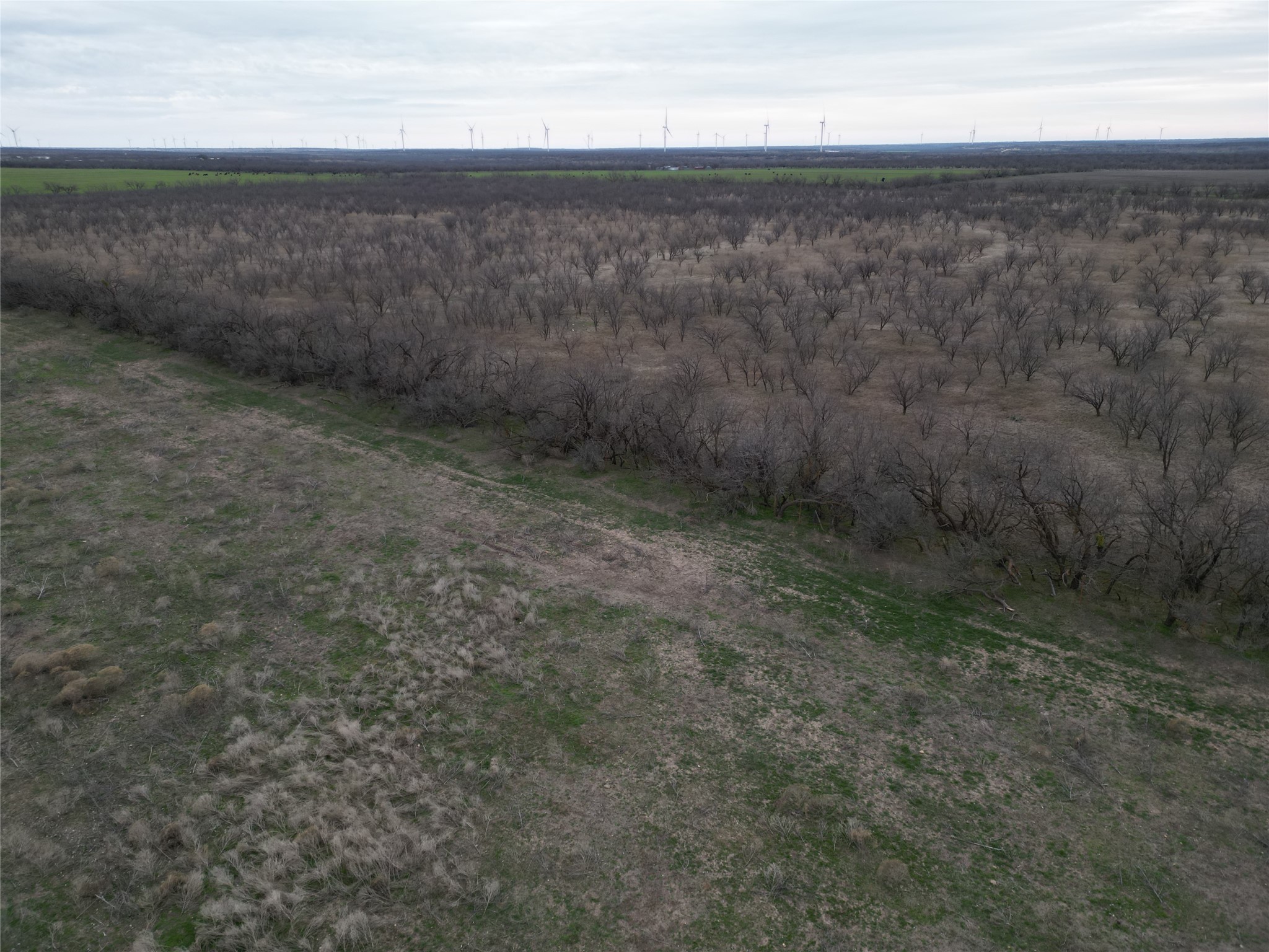 Tract 23 Cr 105 Abilene TX 79601