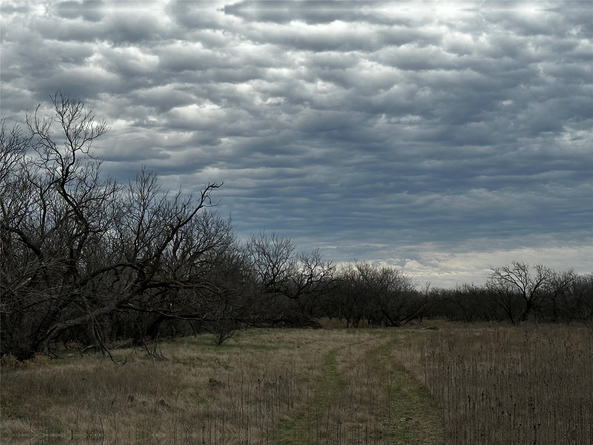Tract 23 Cr 105 Abilene TX 79601