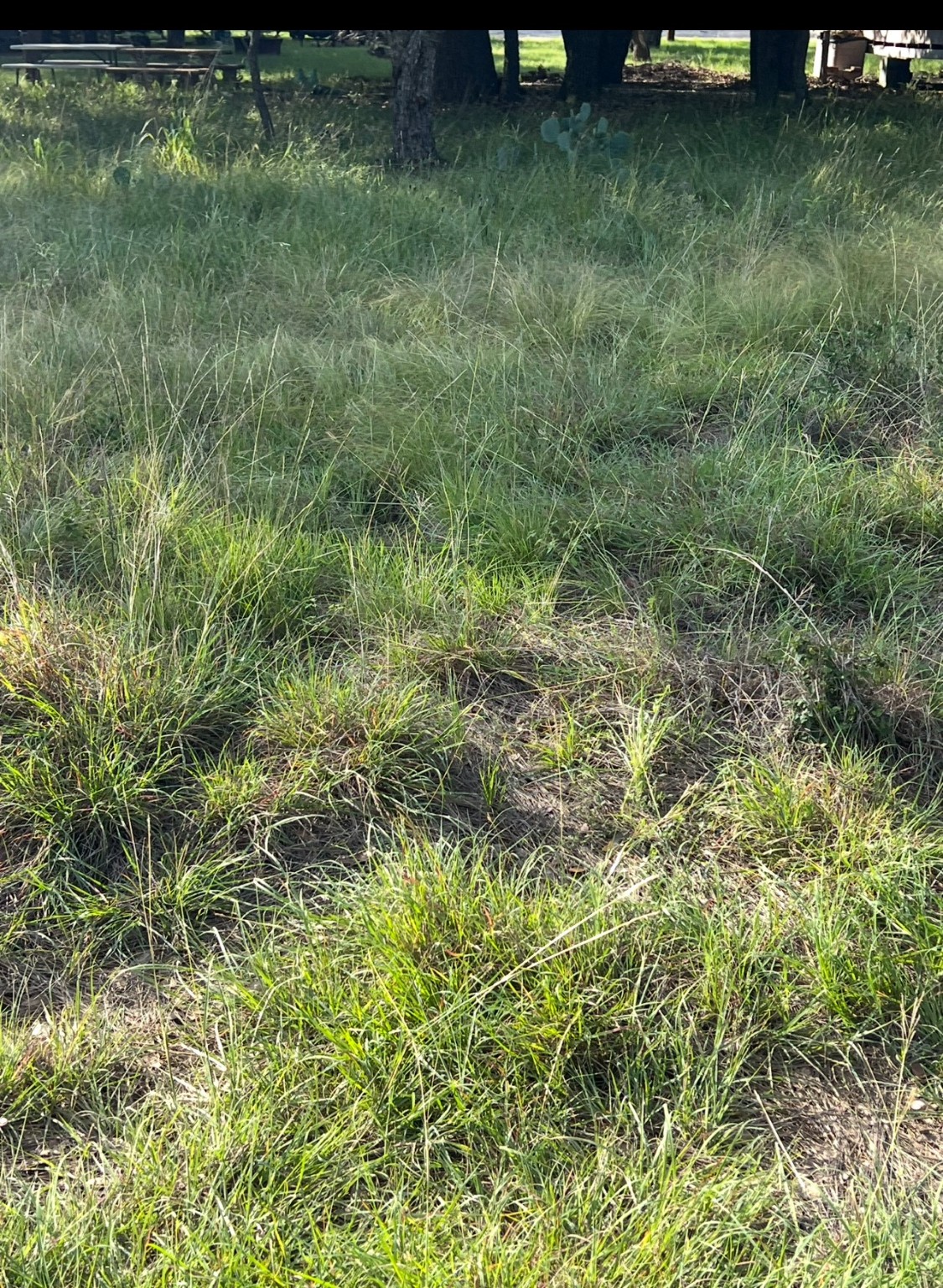 Lot 790 Oak Point Drive May TX 76857