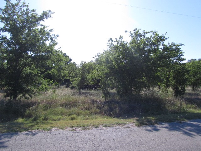 6006 Palcheff Drive Fort Worth TX 76126