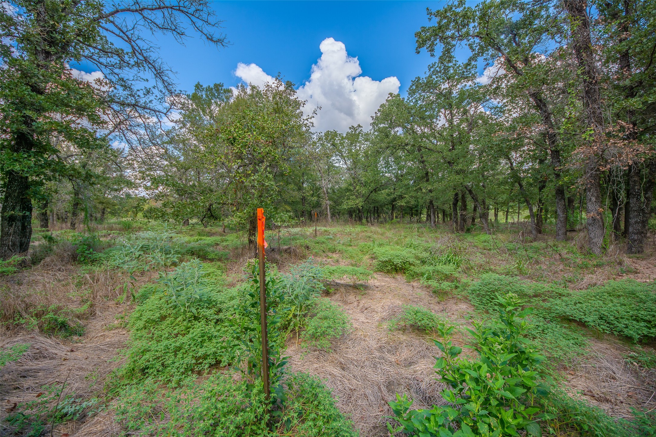 201 Private Road 3582 Paradise TX 76073