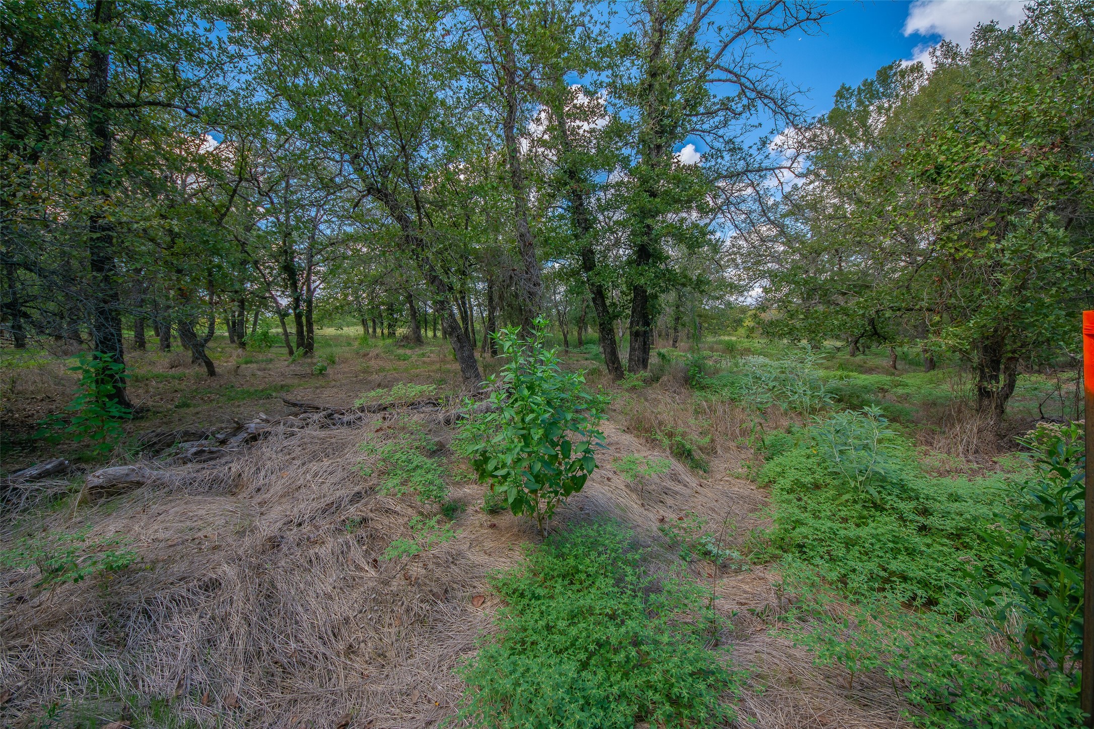 201 Private Road 3582 Paradise TX 76073