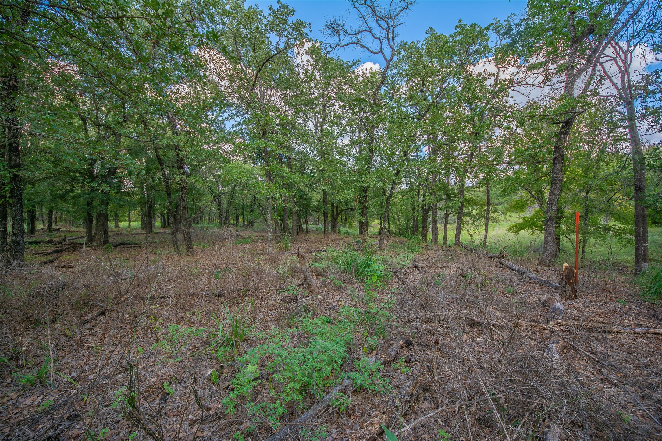 201 Private Road 3582 Paradise TX 76073