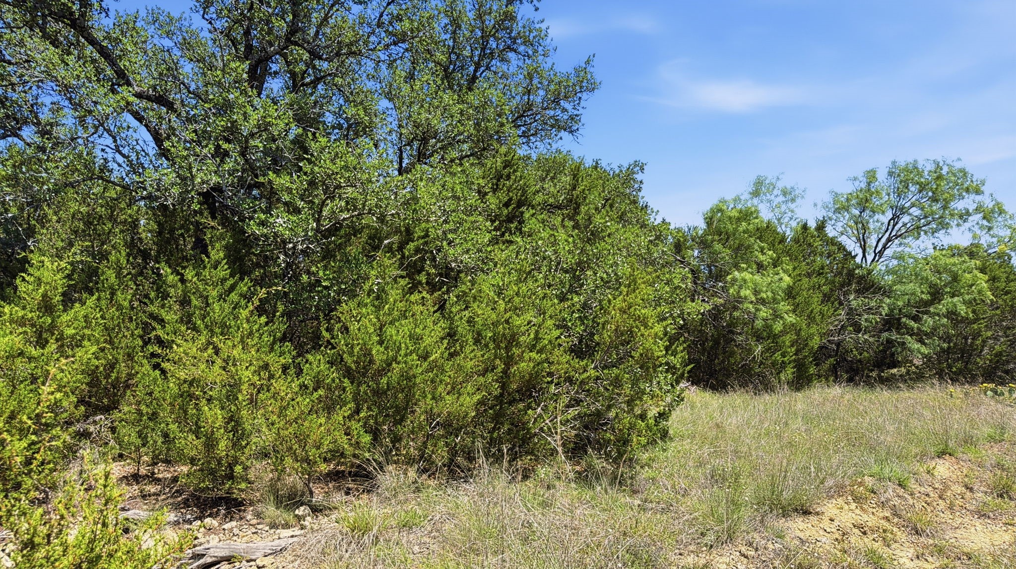 Lot 67 Ph 4 Pr 4212 Evant TX 76566