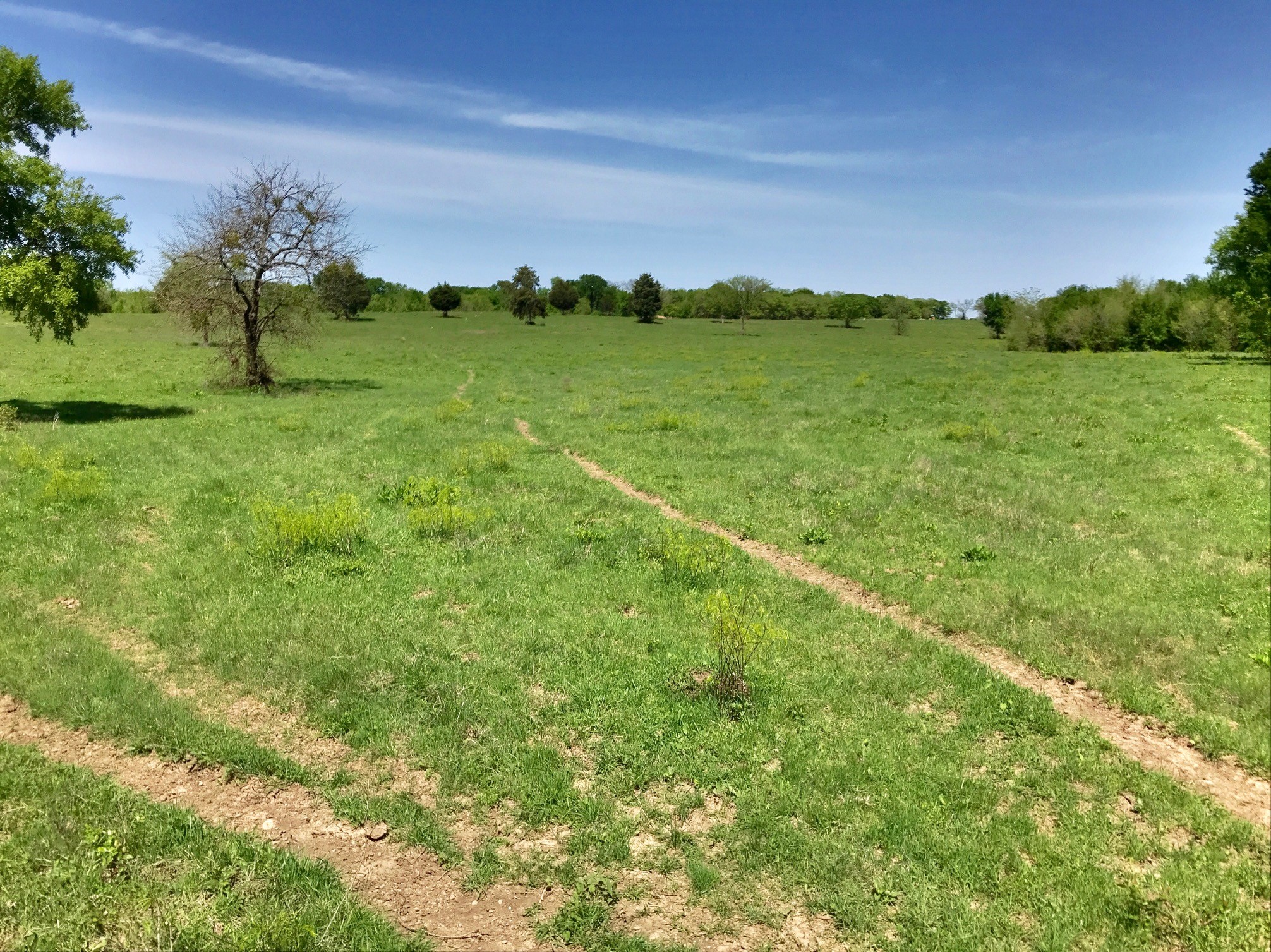 0000 Pr 234 Hillsboro TX 76645