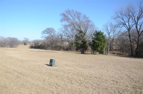 970 Pronghorn Drive Gordonville TX 76245