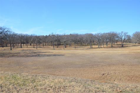 970 Pronghorn Drive Gordonville TX 76245