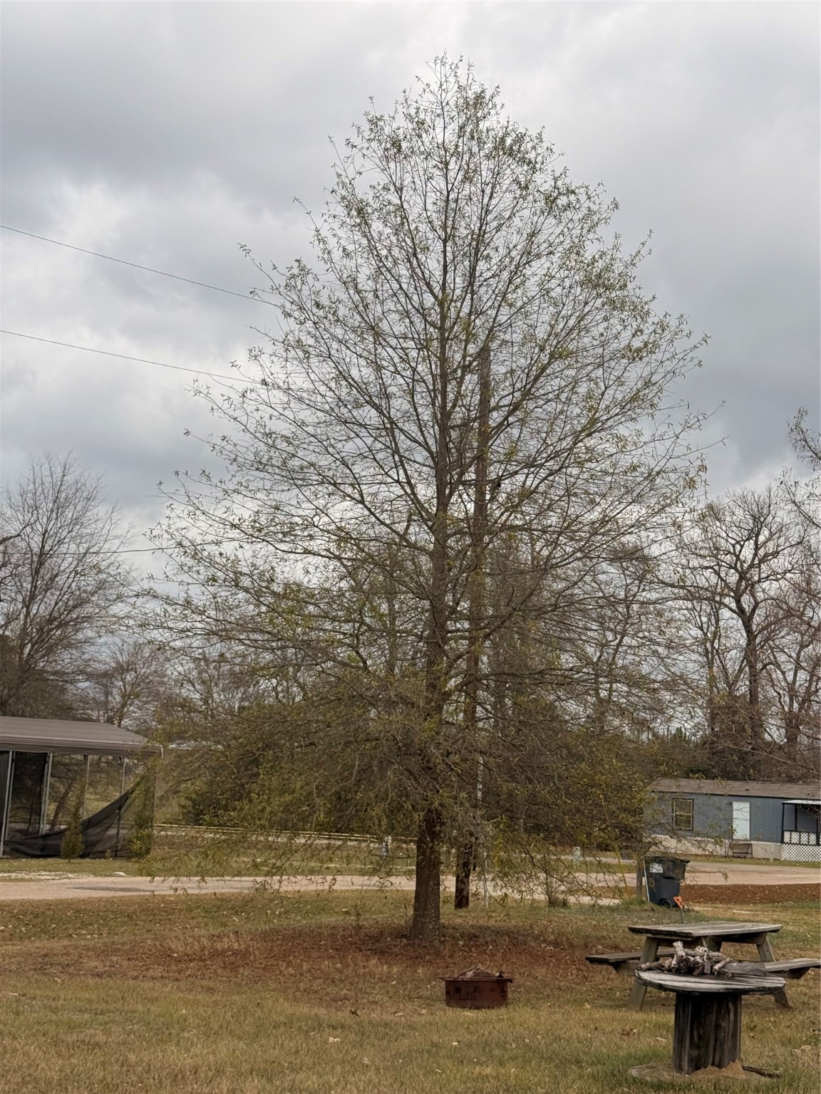 0000 Waterfront Row Quitman TX 75783