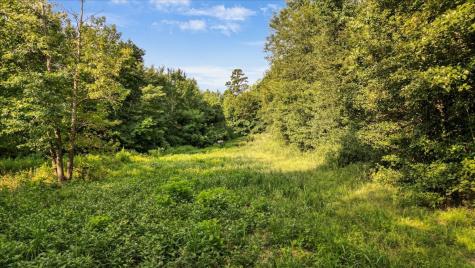 Tbd S Live Oak Gilmer TX 75644