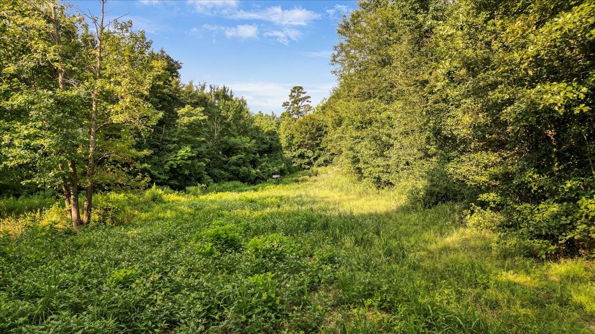 Tbd S Live Oak Gilmer TX 75644