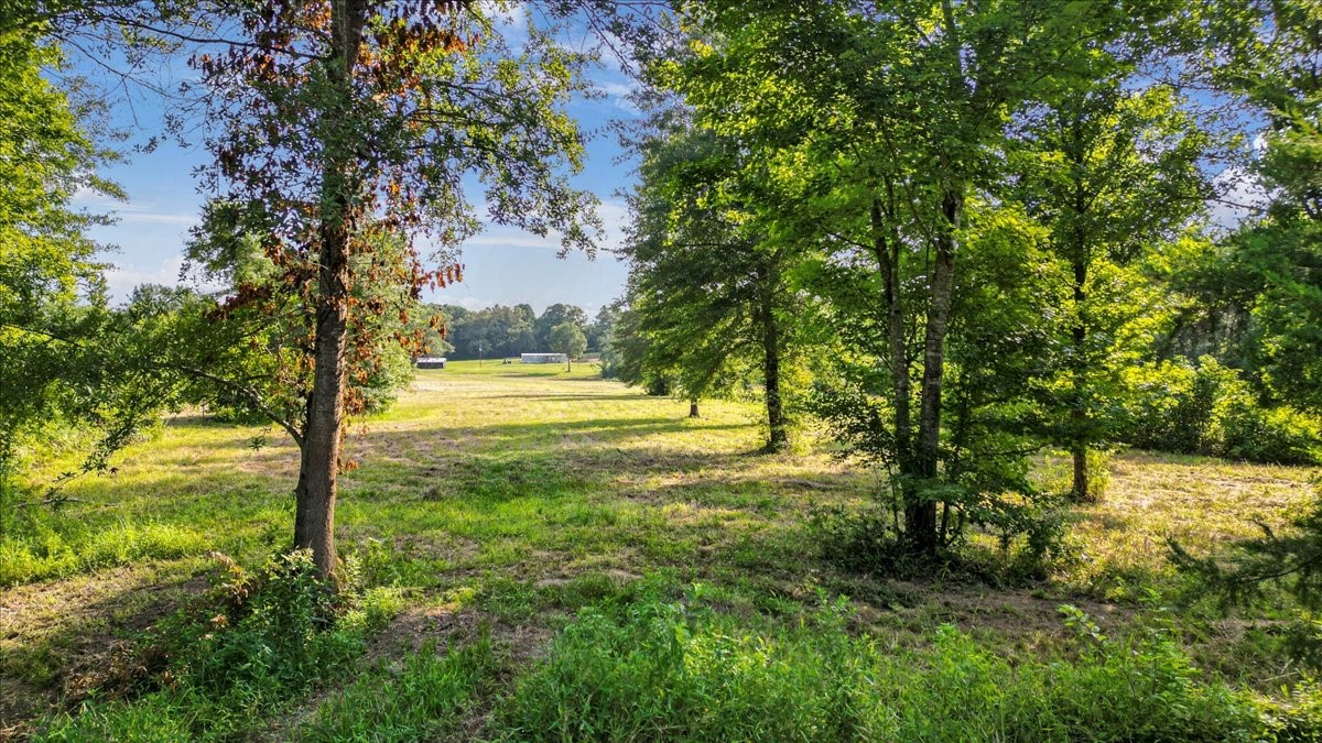 Tbd S Live Oak Gilmer TX 75644