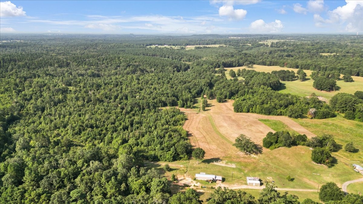 Tbd S Live Oak Gilmer TX 75644