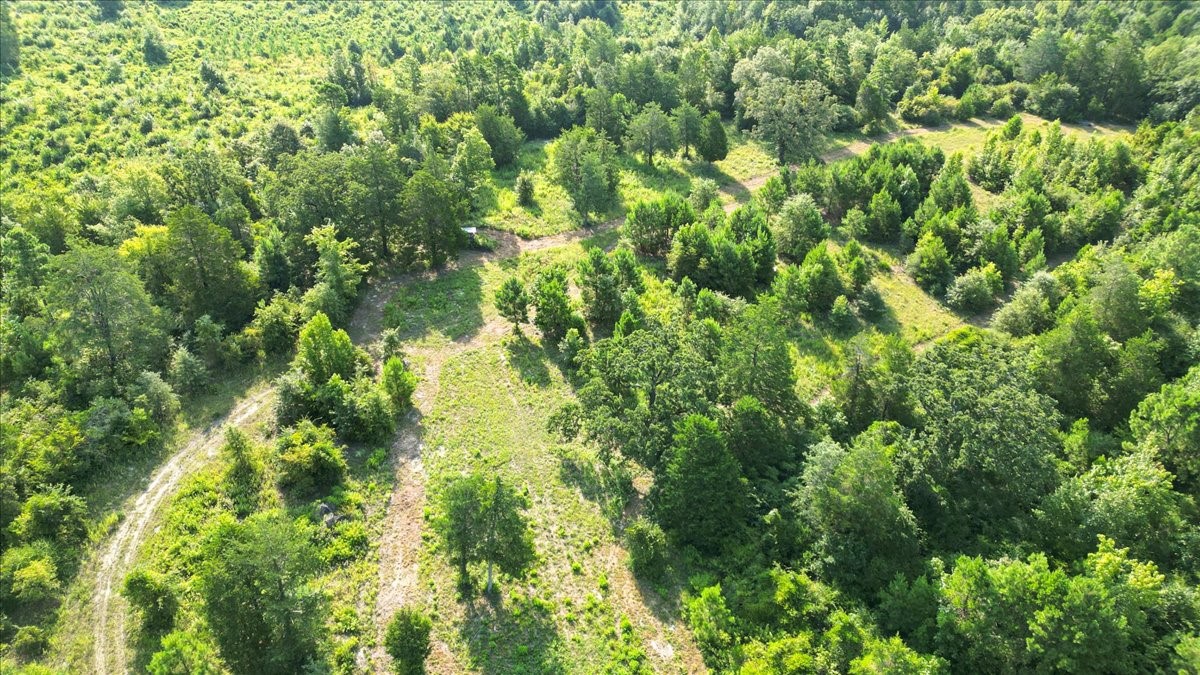 Tbd S Live Oak Gilmer TX 75644